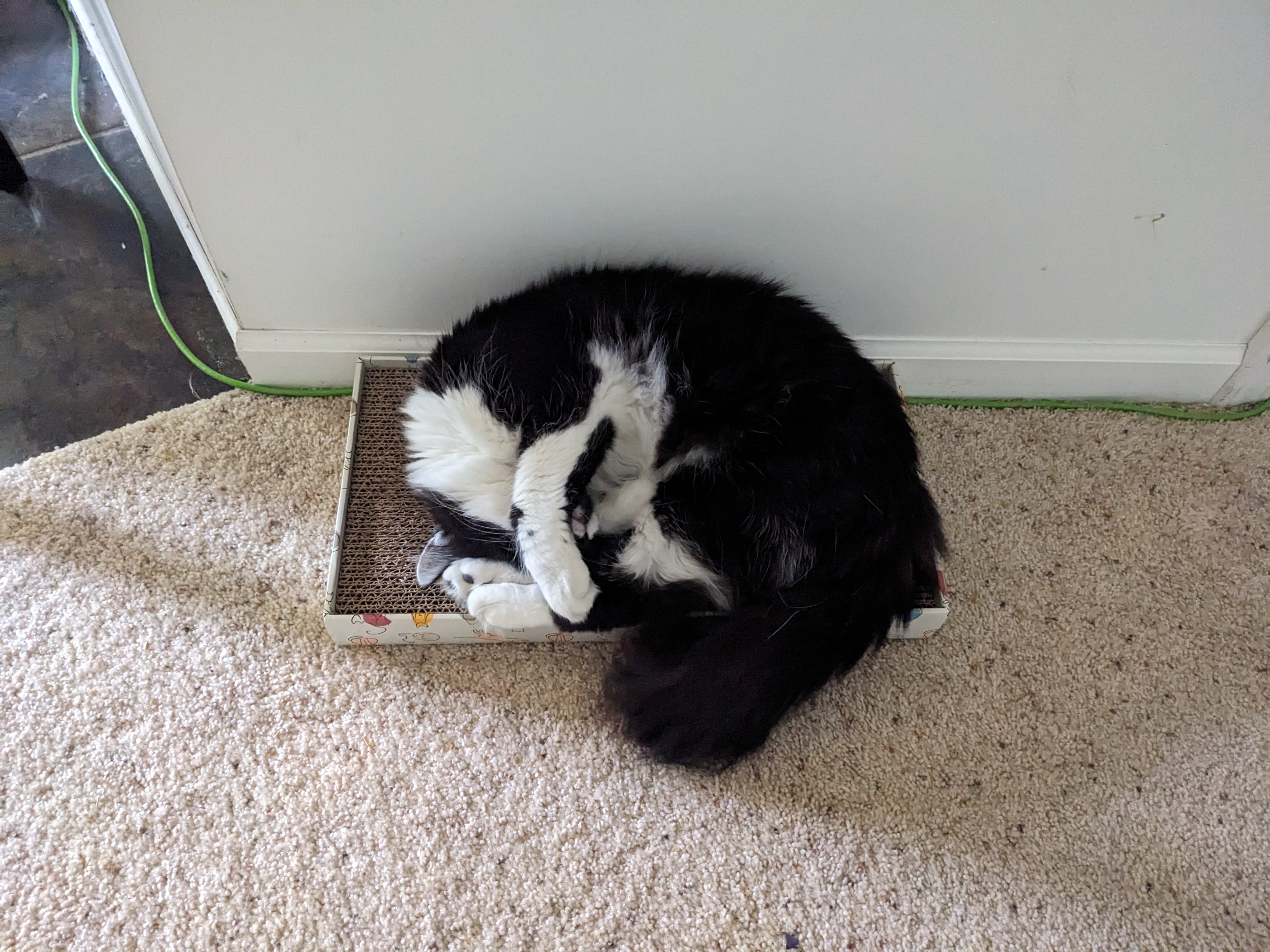 PXL 20231030 192857451