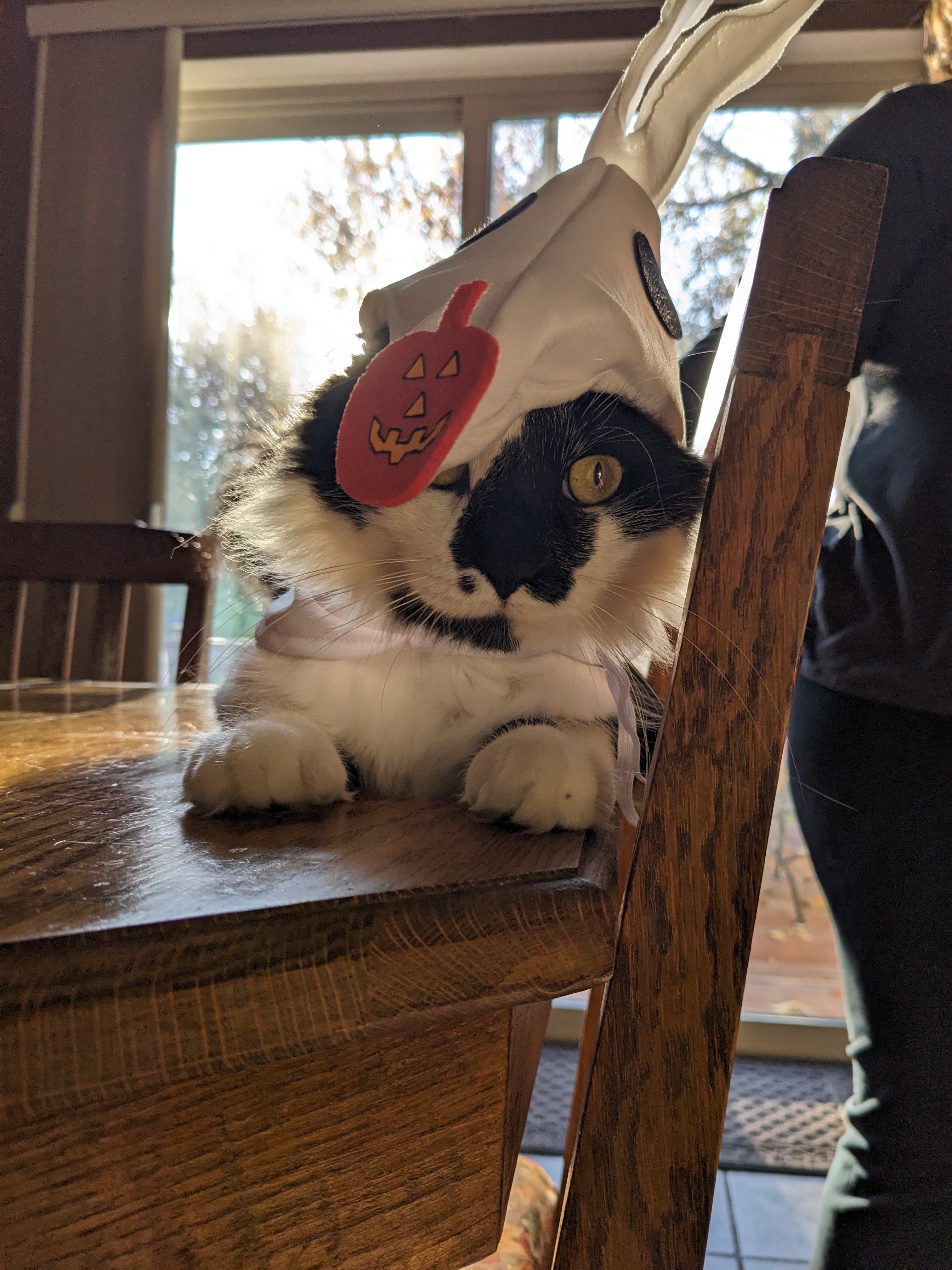 PXL 20231031 213255362