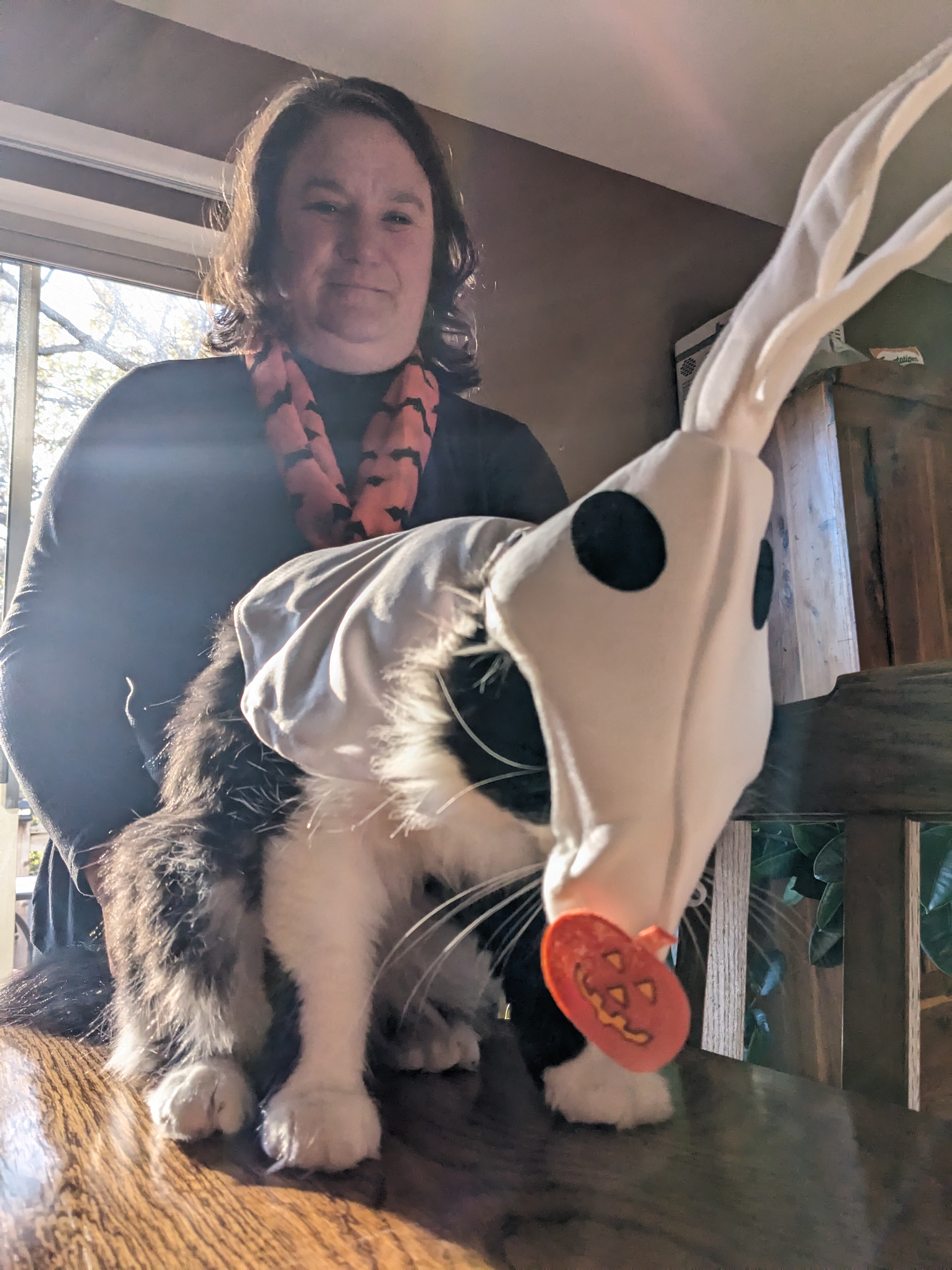 PXL 20231031 213307068