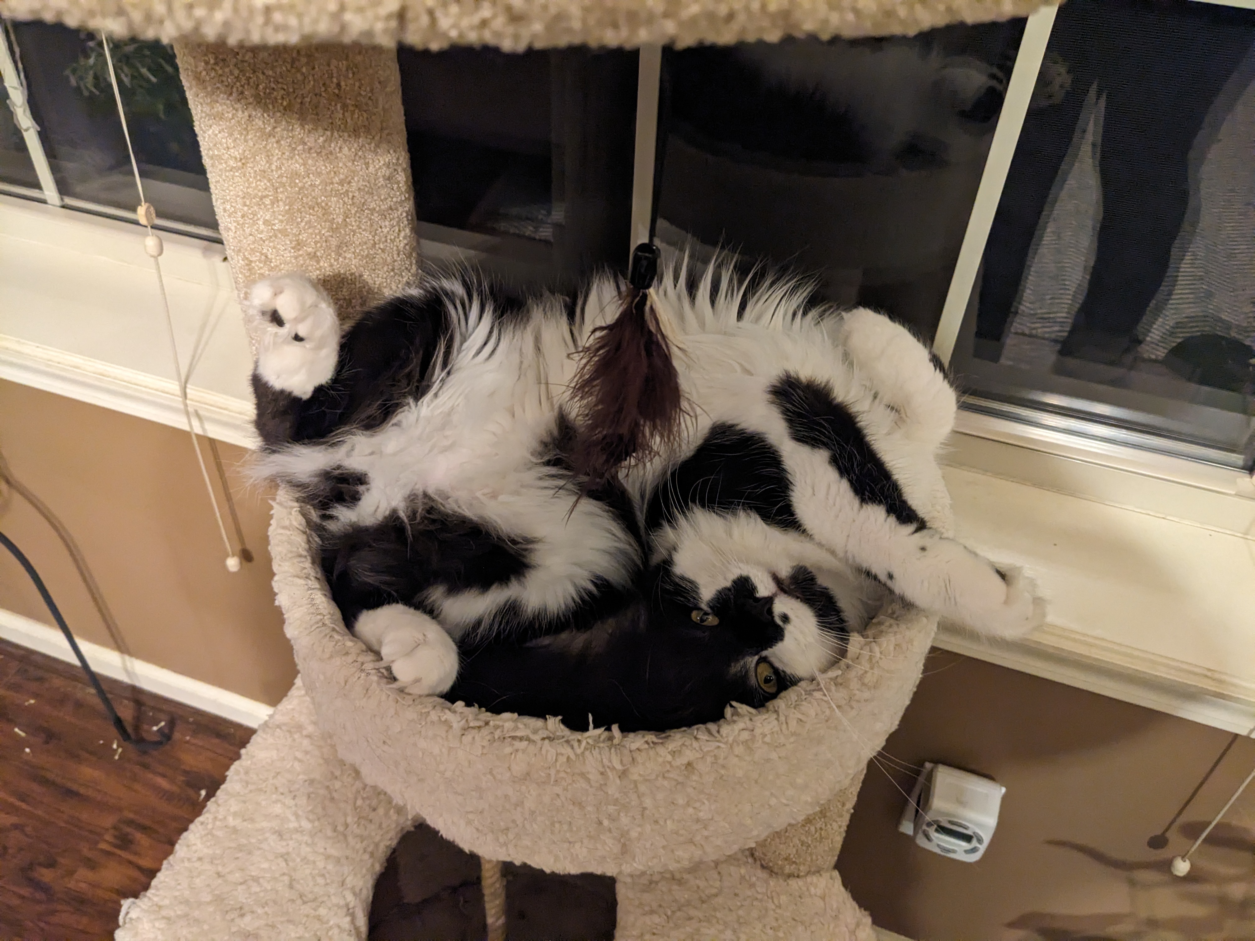 PXL 20231107 015250513