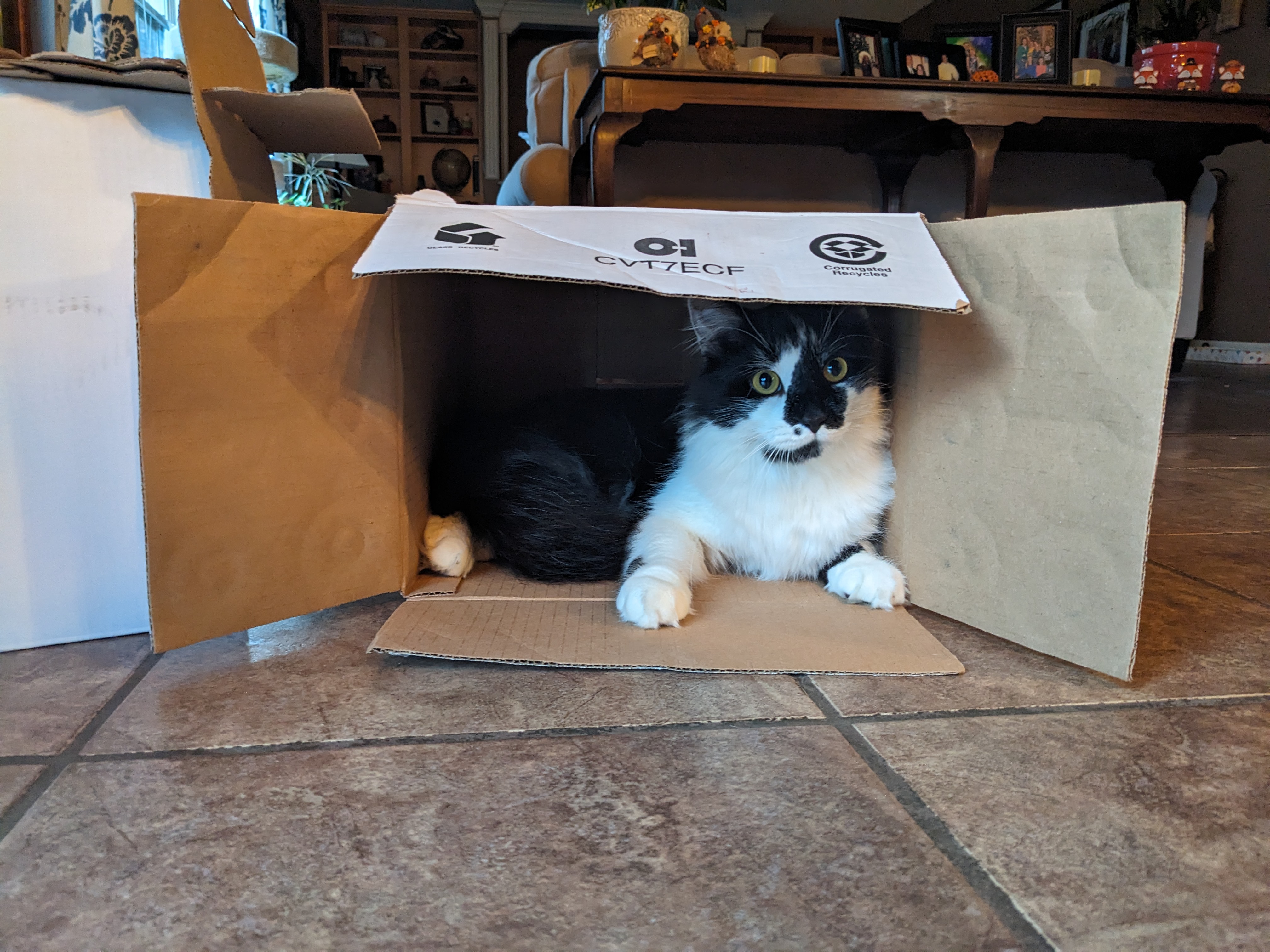 PXL 20231109 223937546