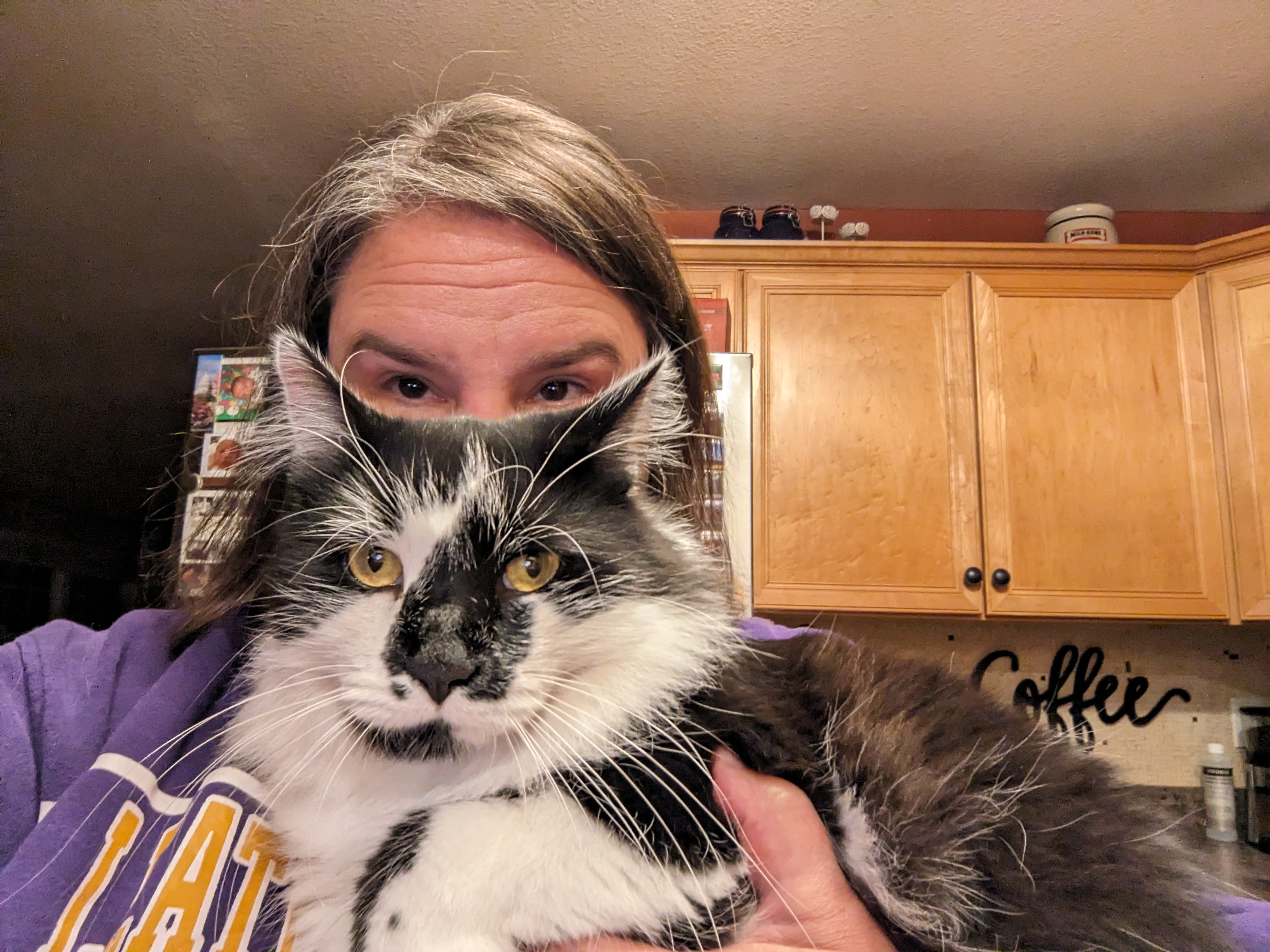 PXL 20231117 234749374