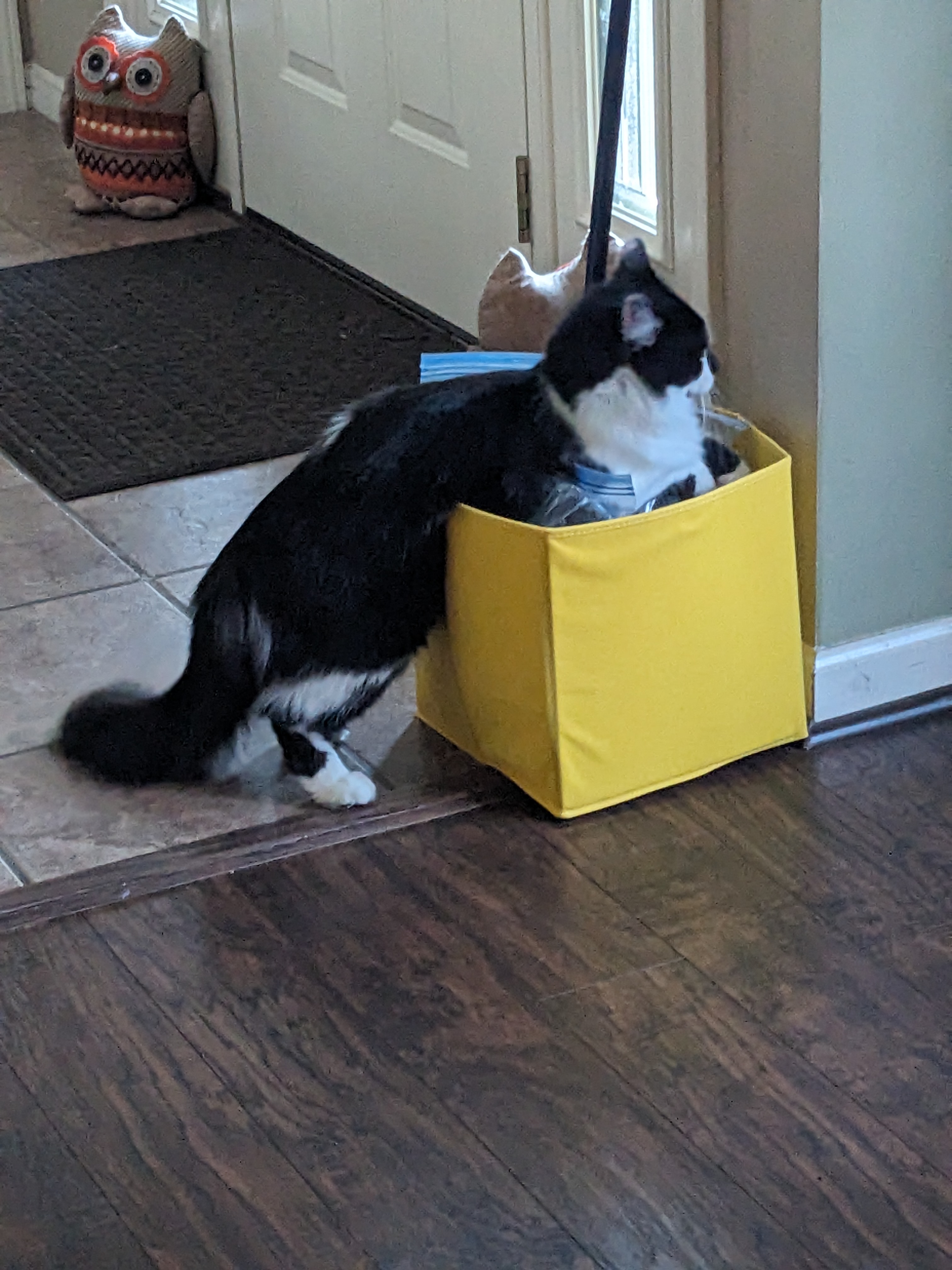 PXL 20231118 223109634