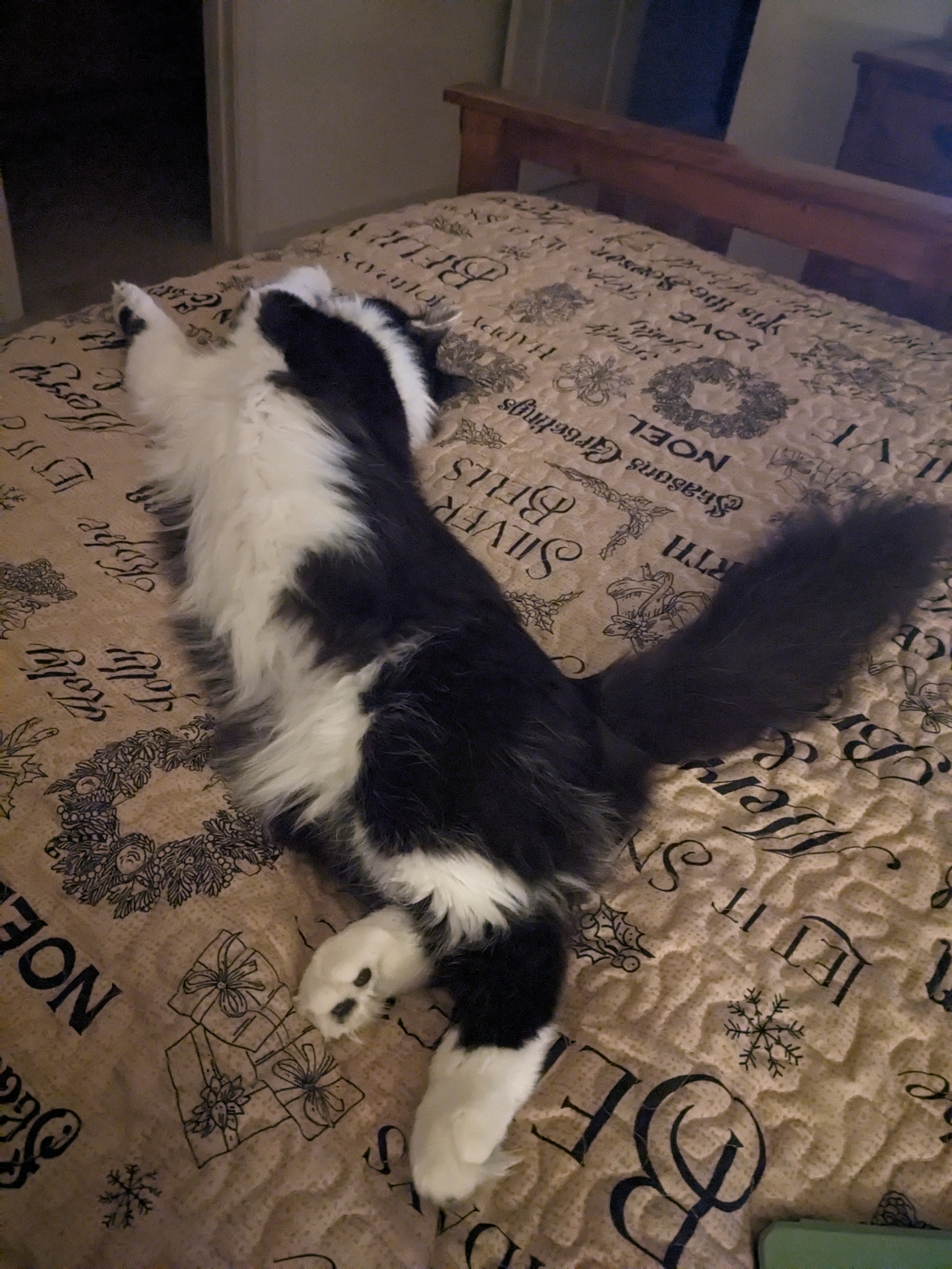 PXL 20231119 124249098