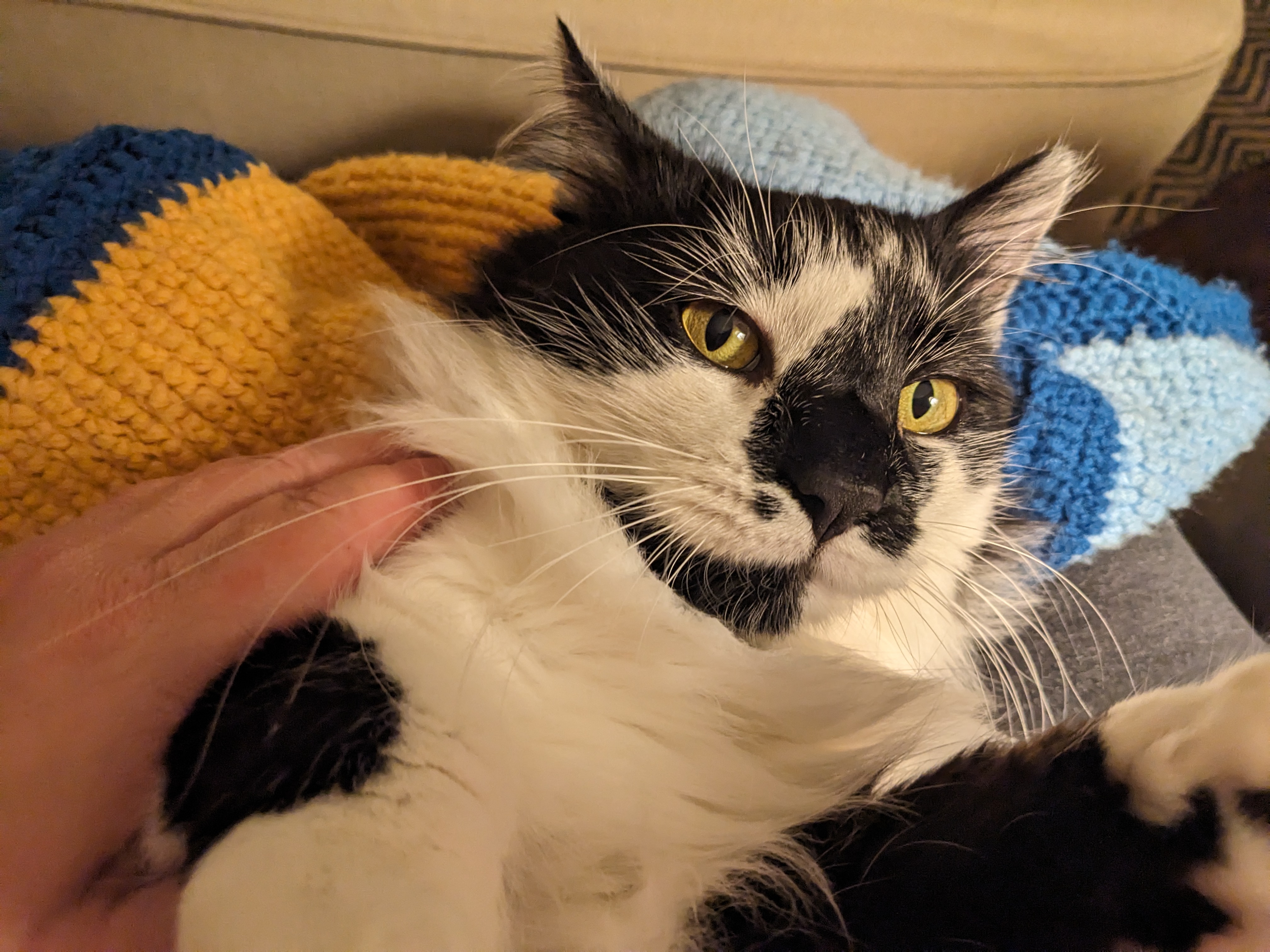 PXL 20231122 023548091