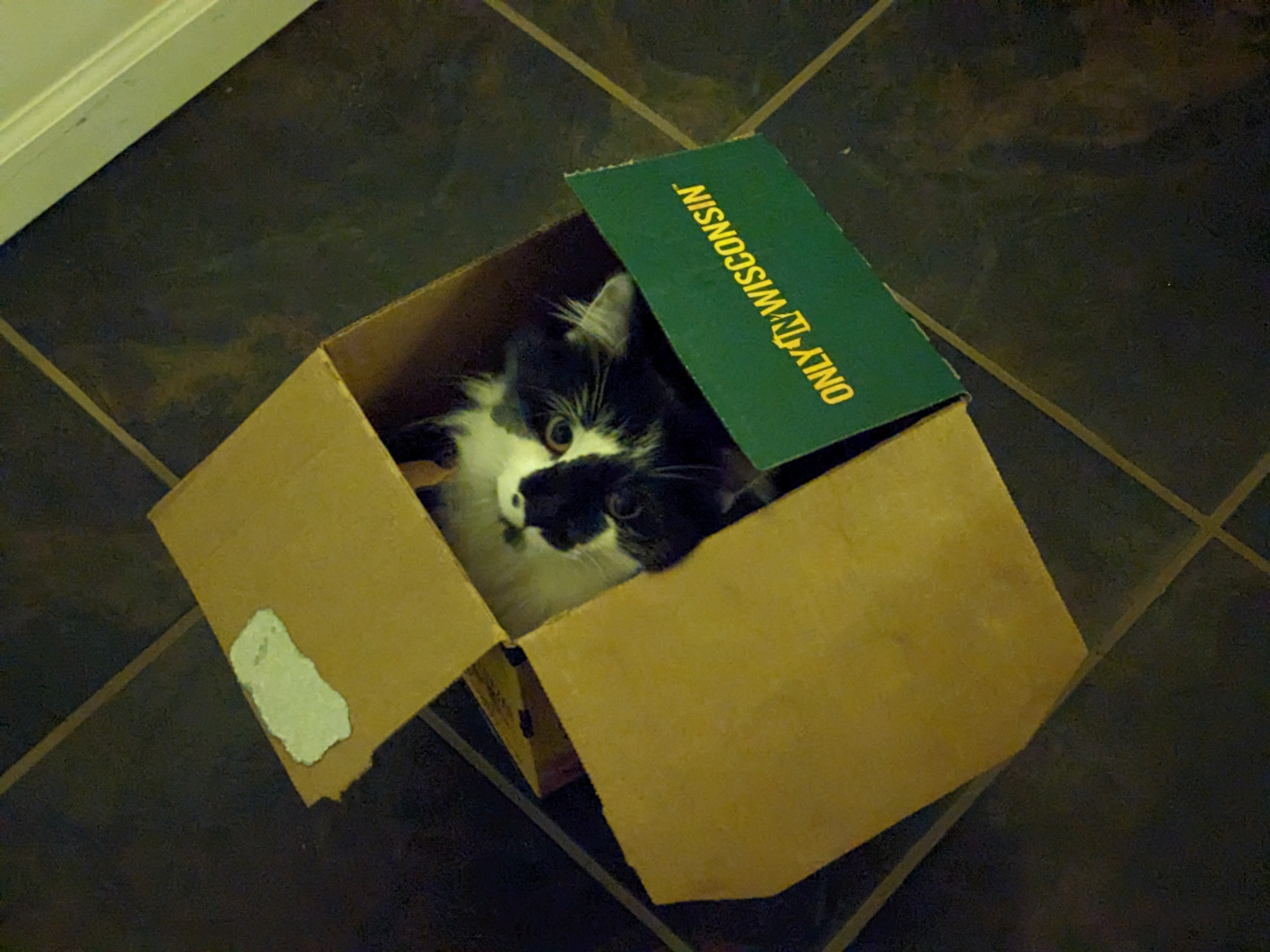 PXL 20231128 030741865