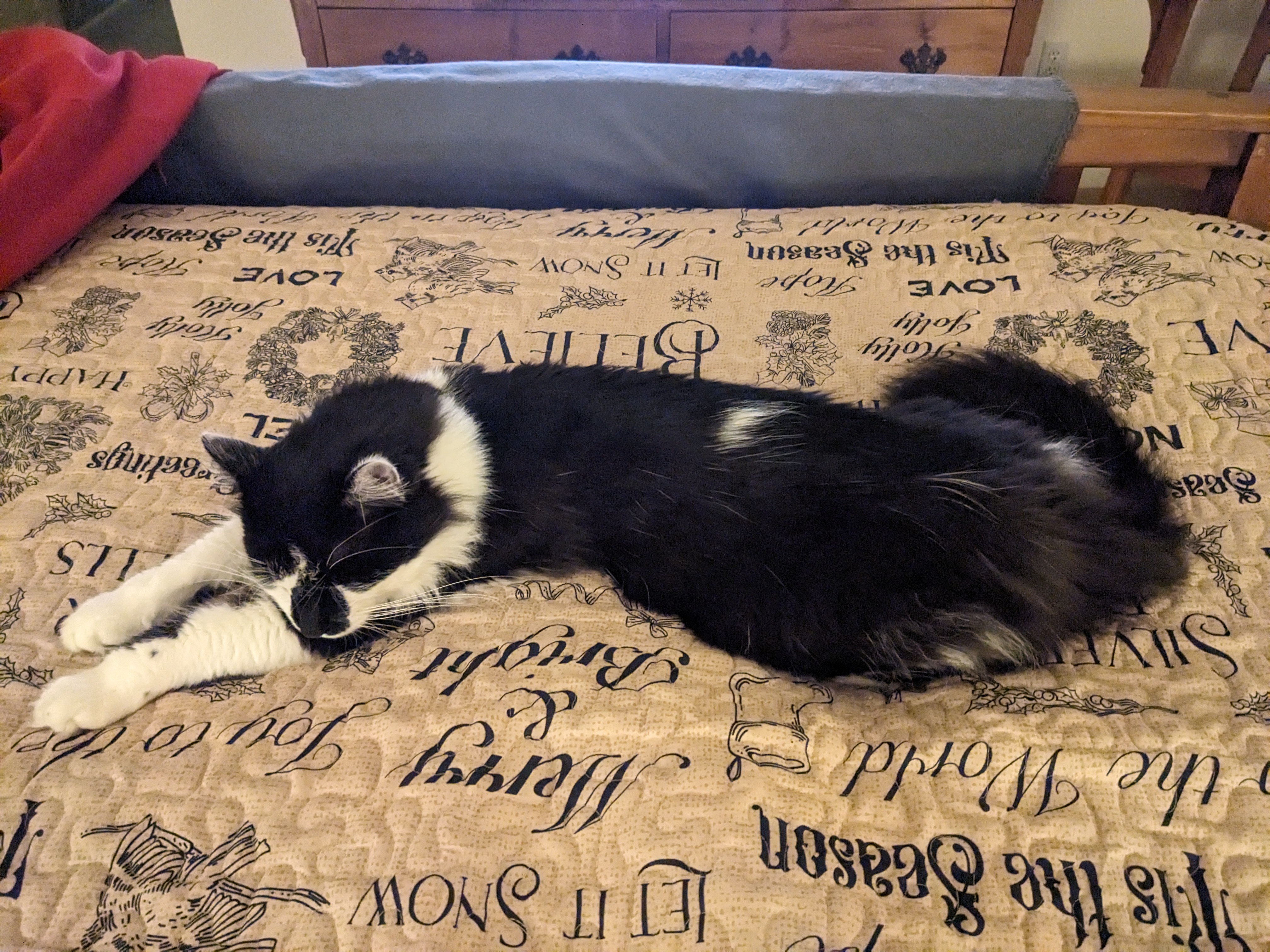 PXL 20231201 023516016