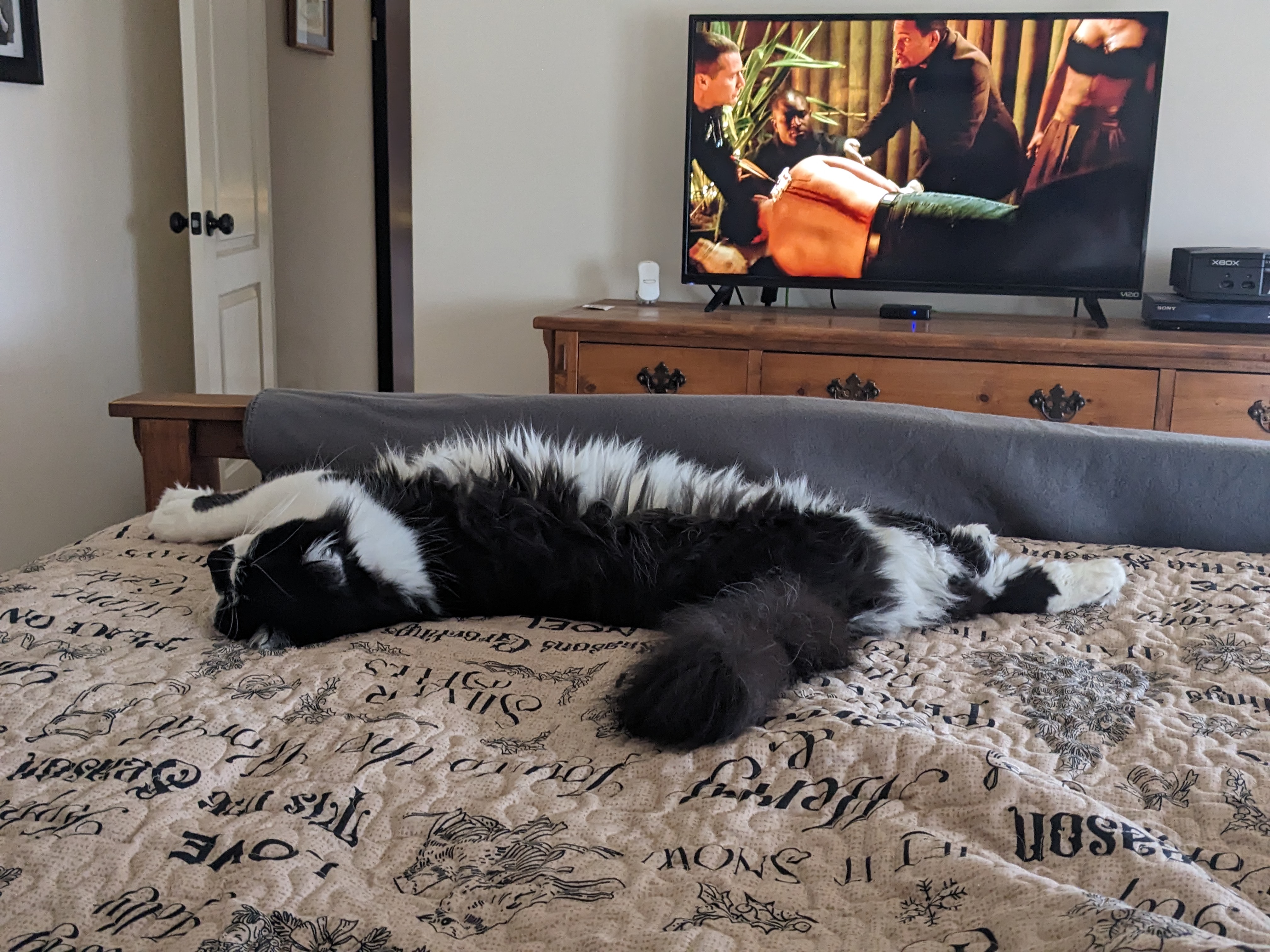 PXL 20231216 170221916