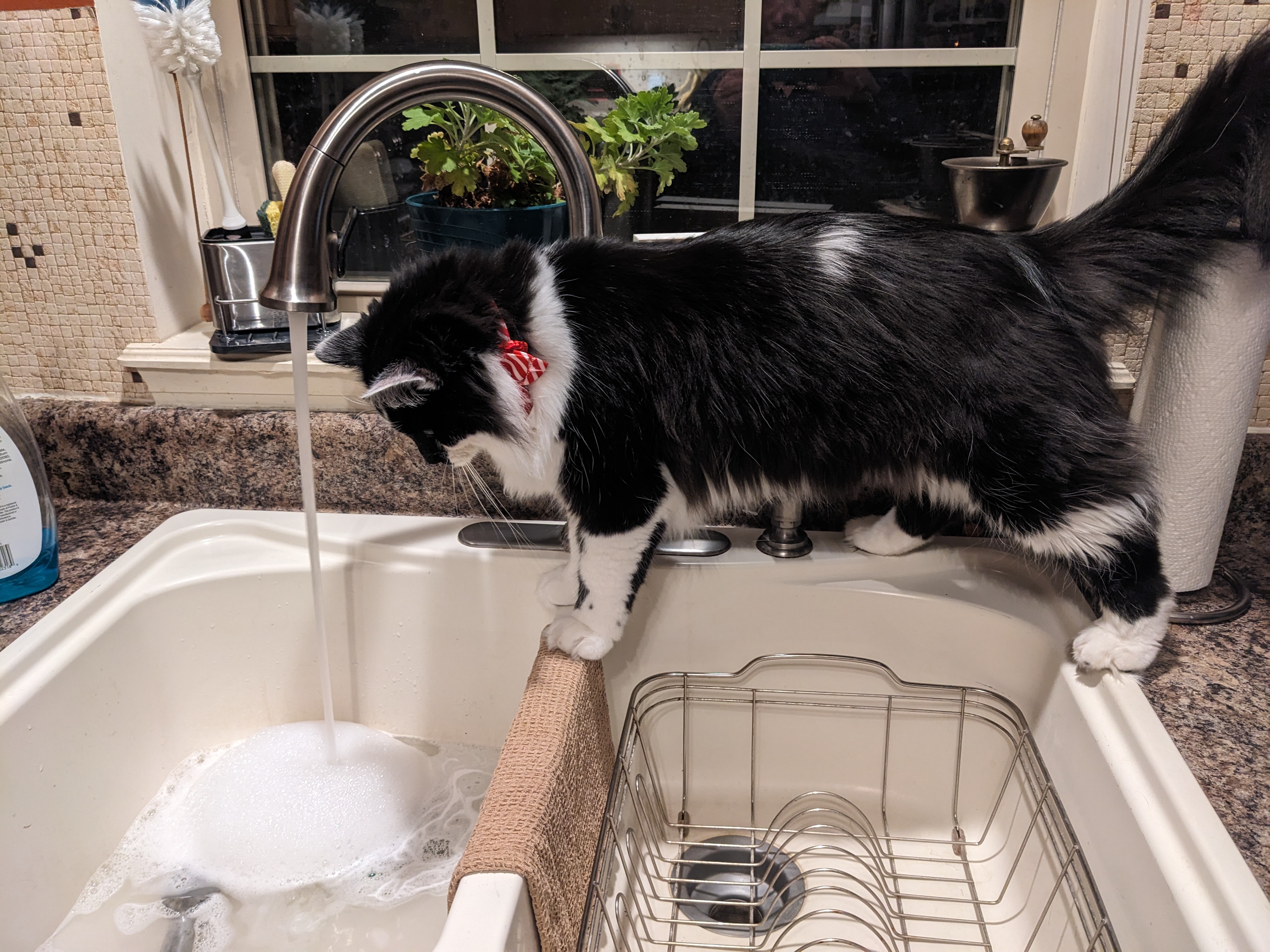 PXL 20231219 110102696