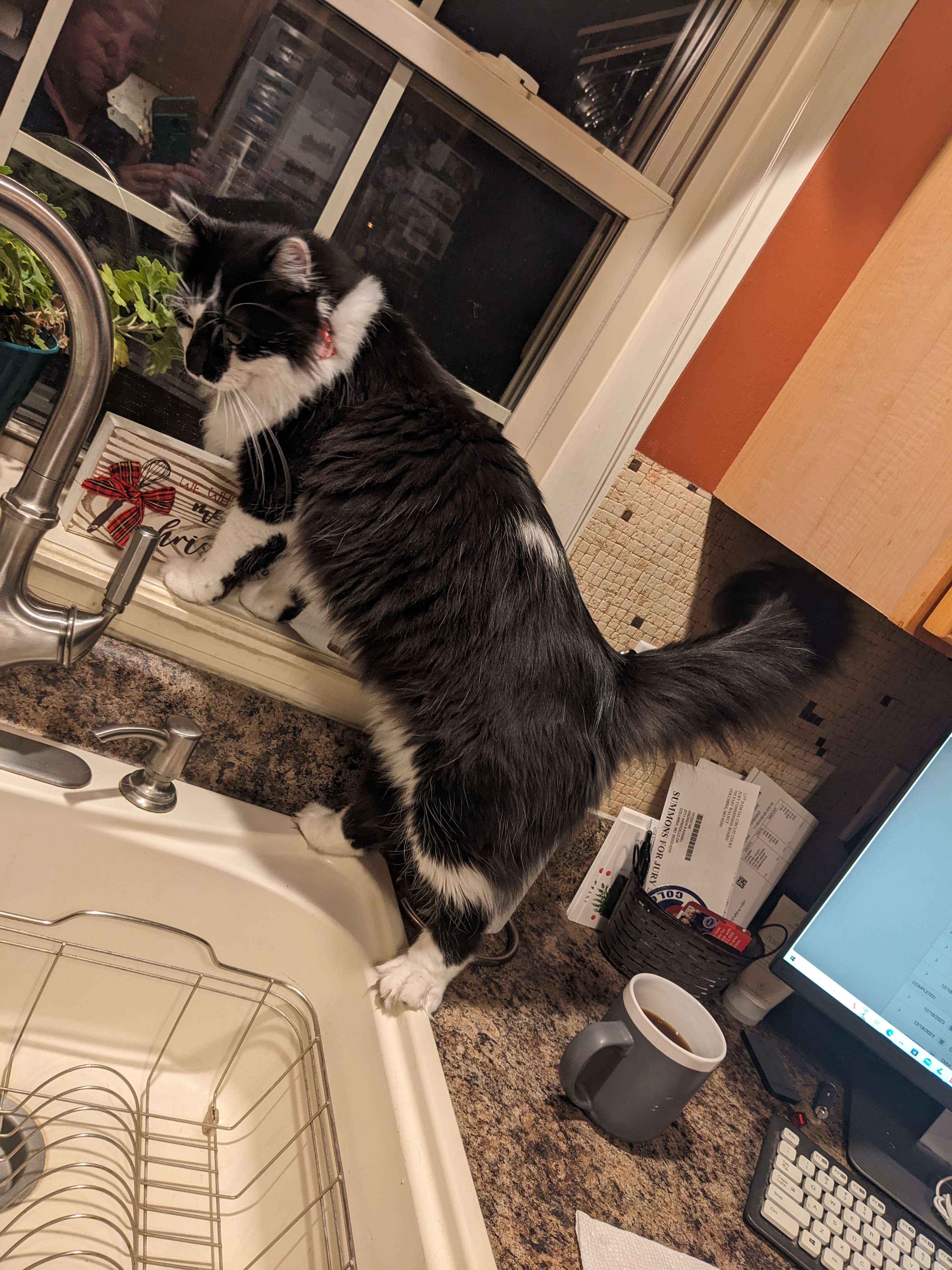 PXL 20231219 110144267