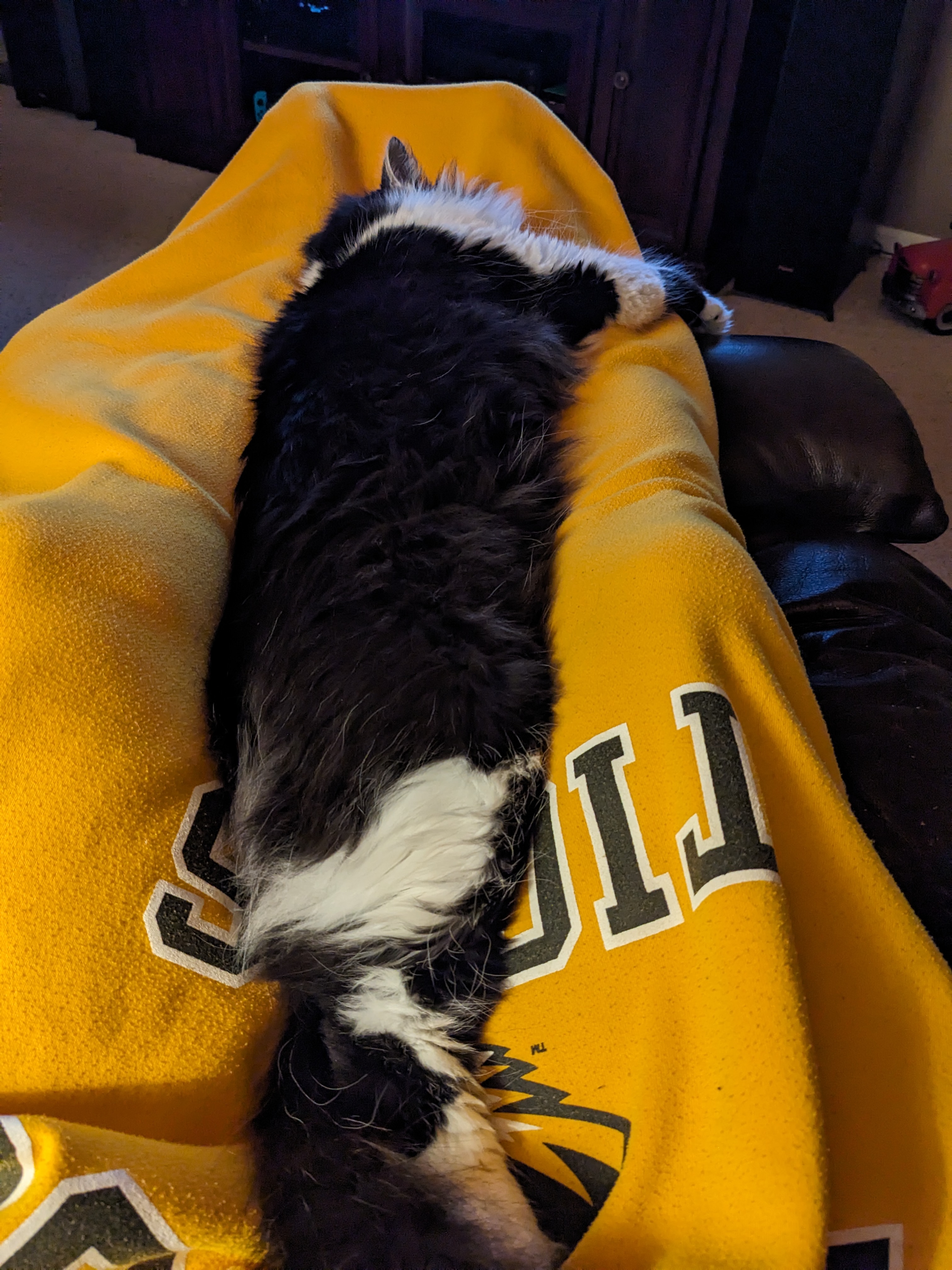 PXL 20231228 040349967