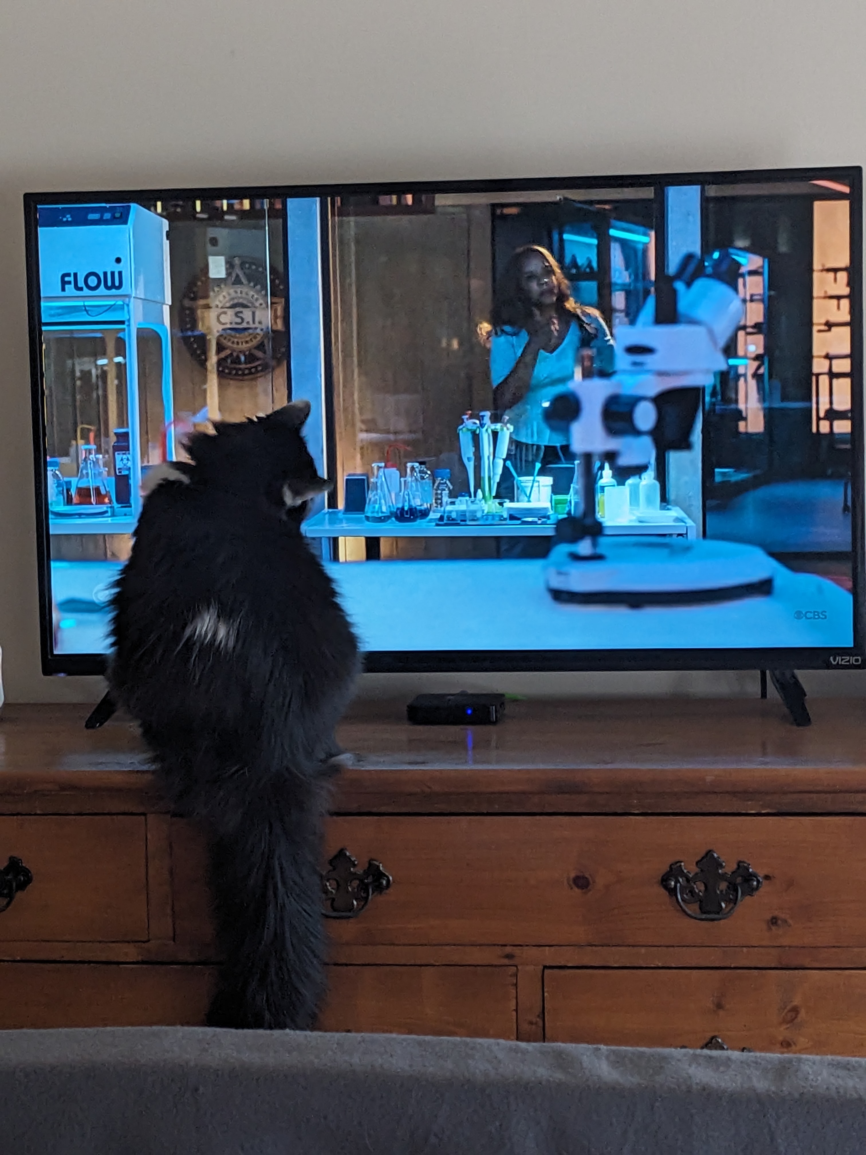 PXL 20231228 193913777