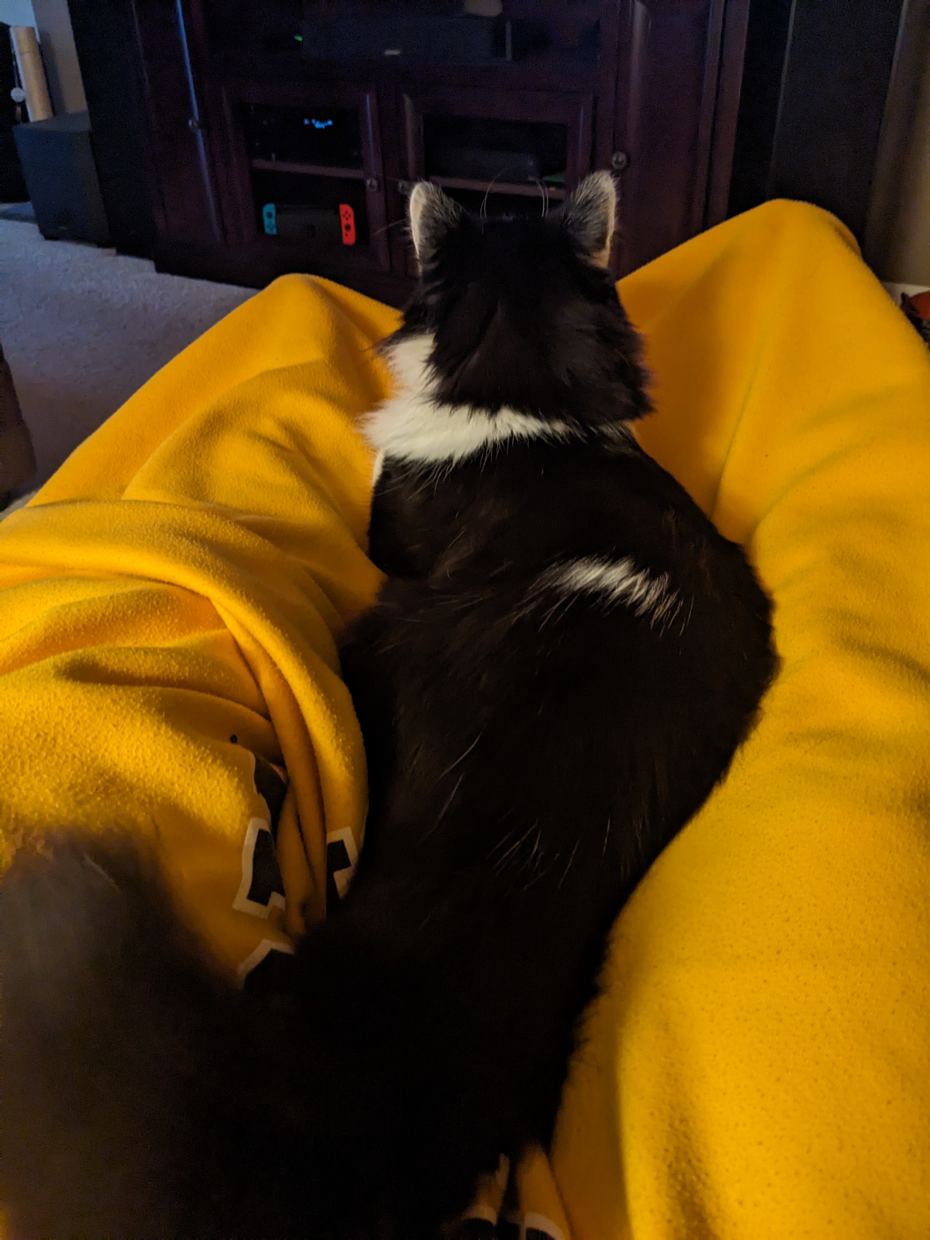 PXL 20231230 221145334