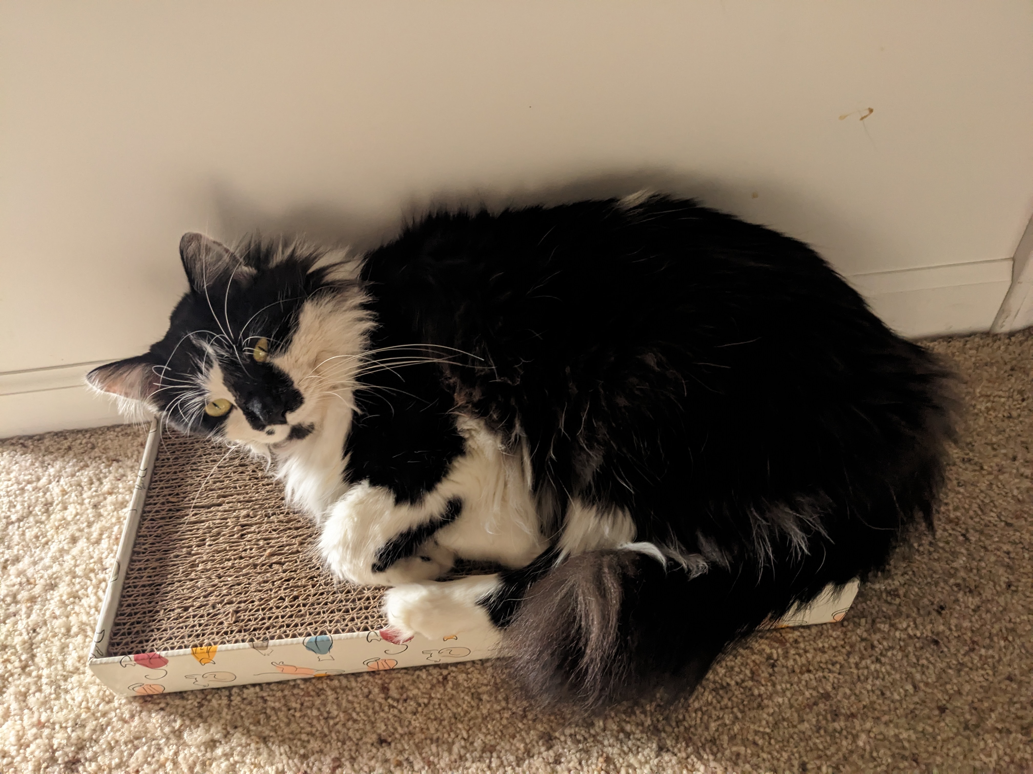 PXL 20240103 213025196