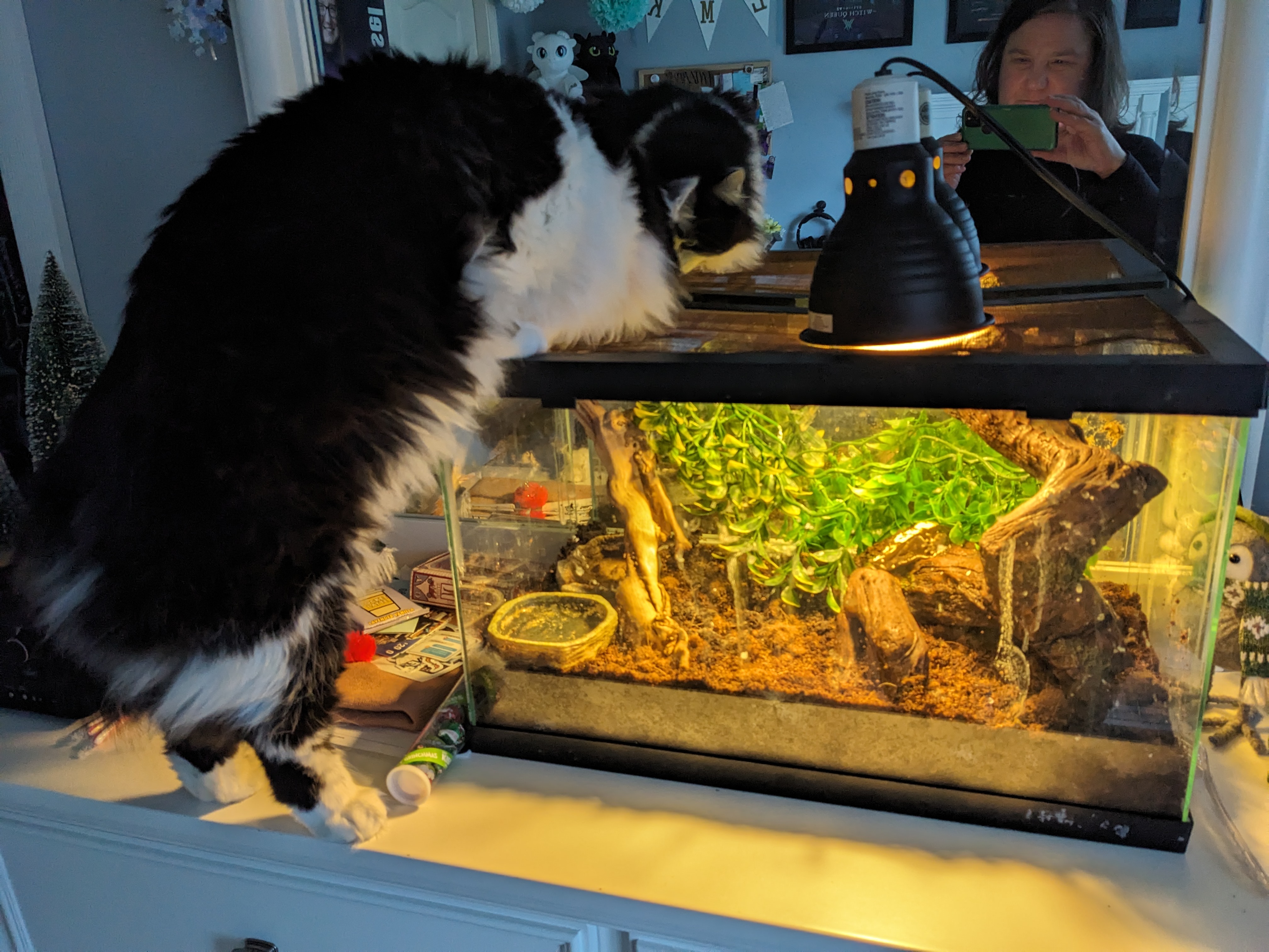 PXL 20240103 222947406