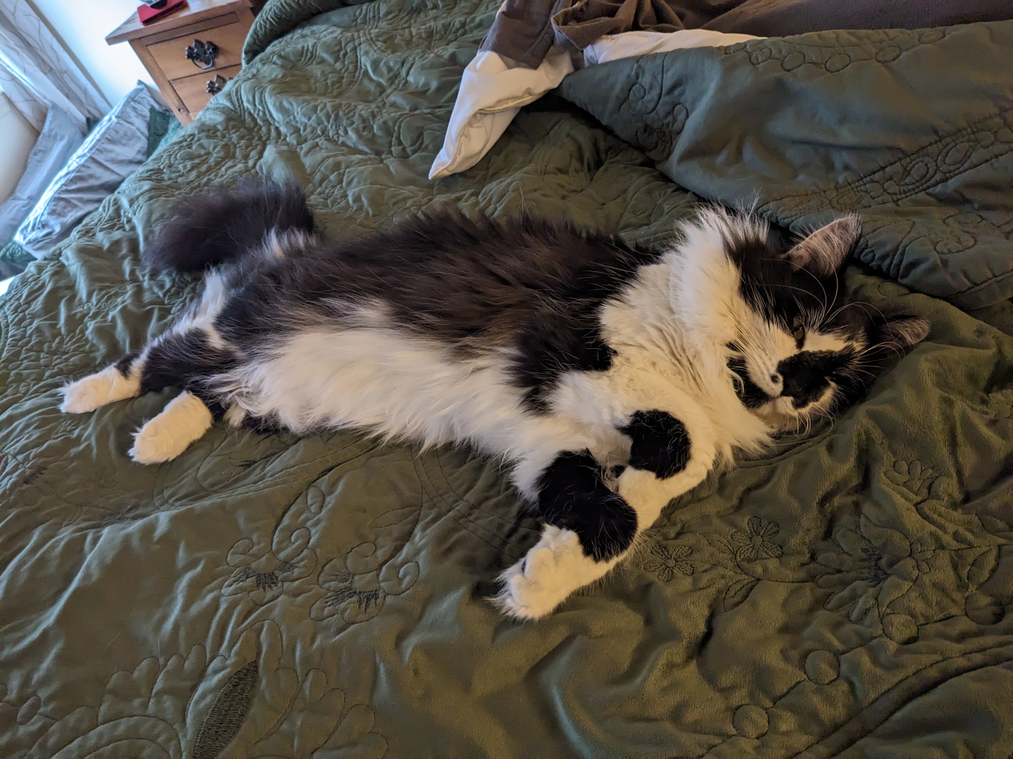 PXL 20240112 183736992