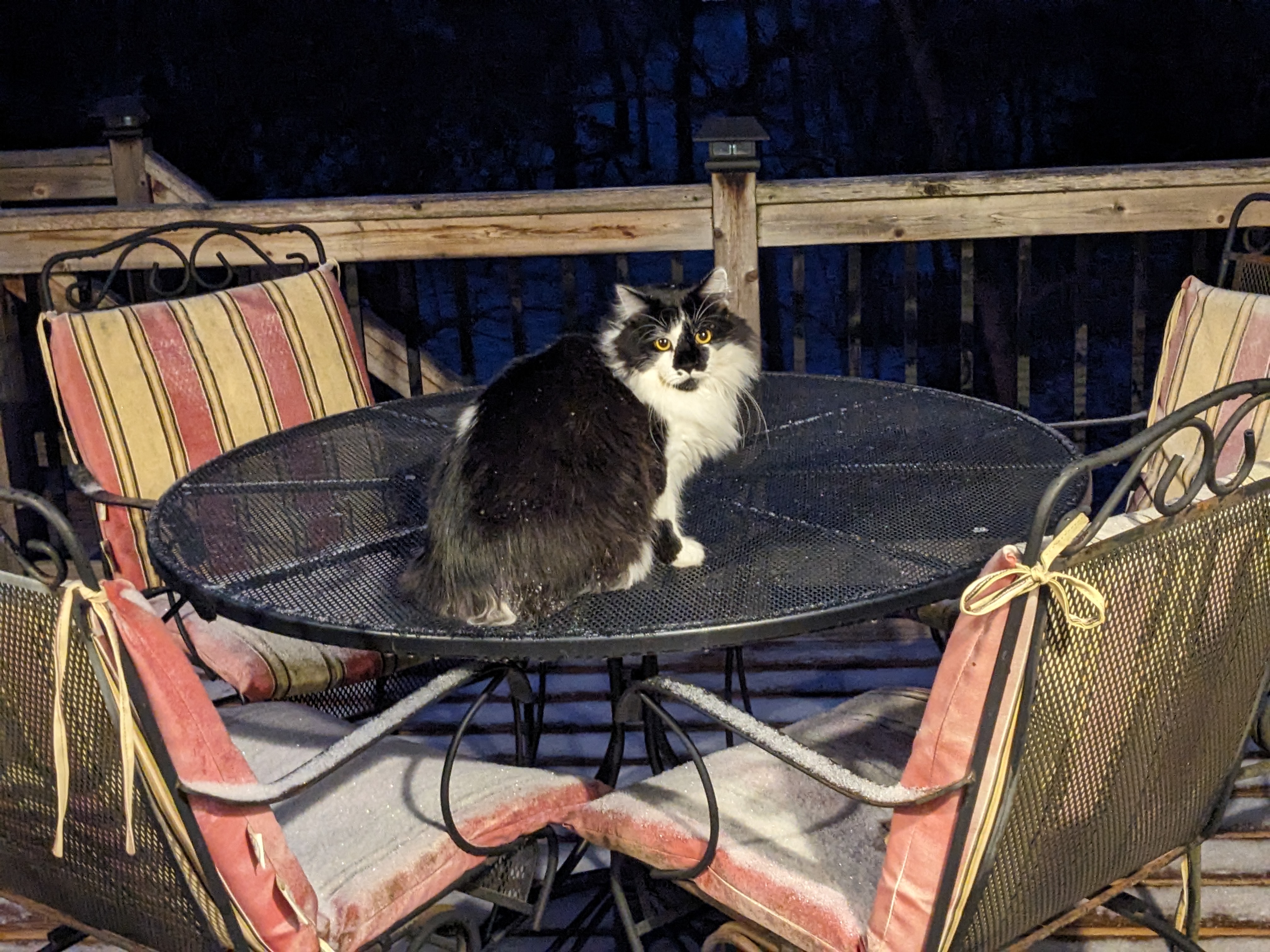 PXL 20240112 233812141