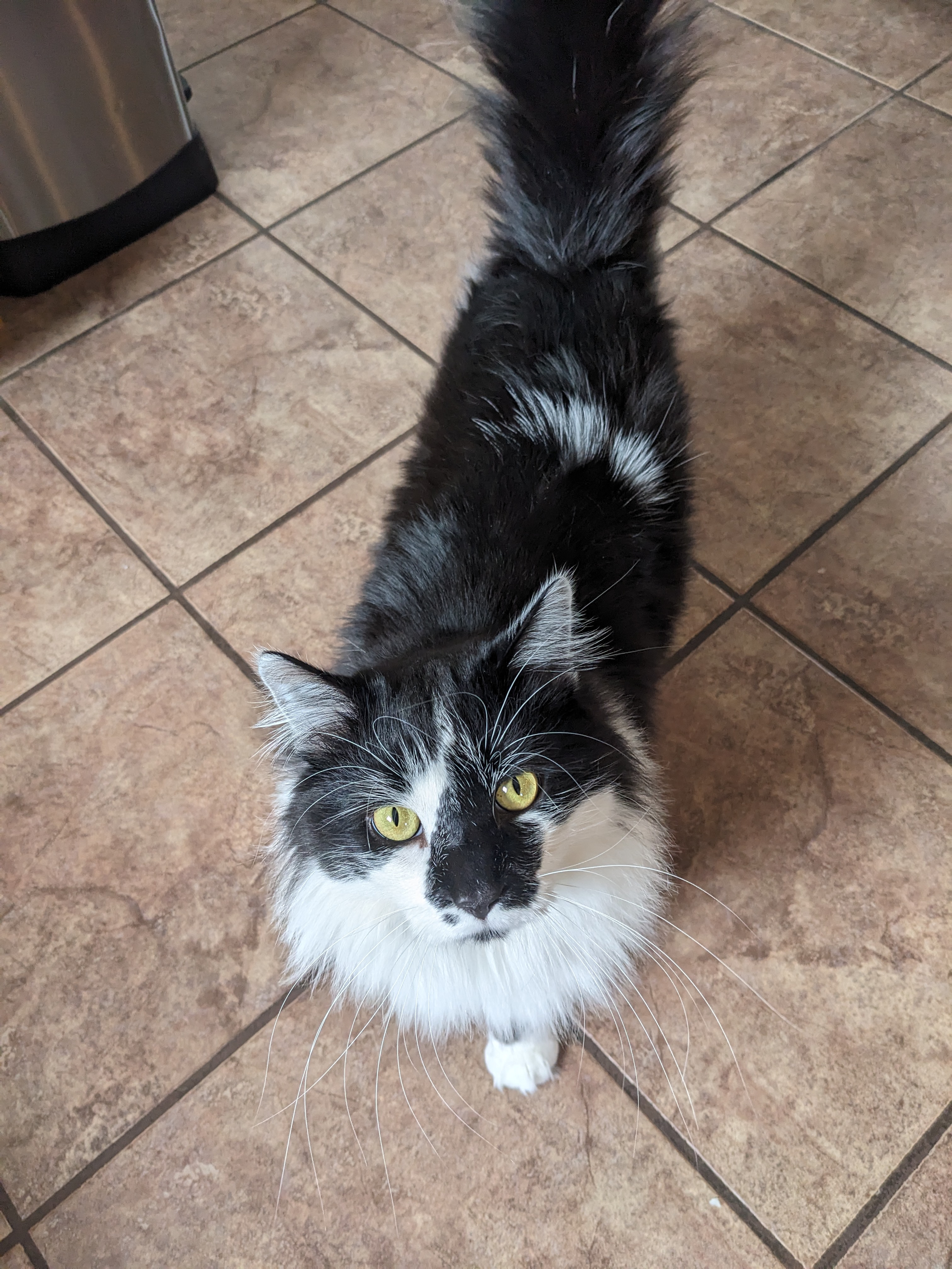 PXL 20240115 185336784