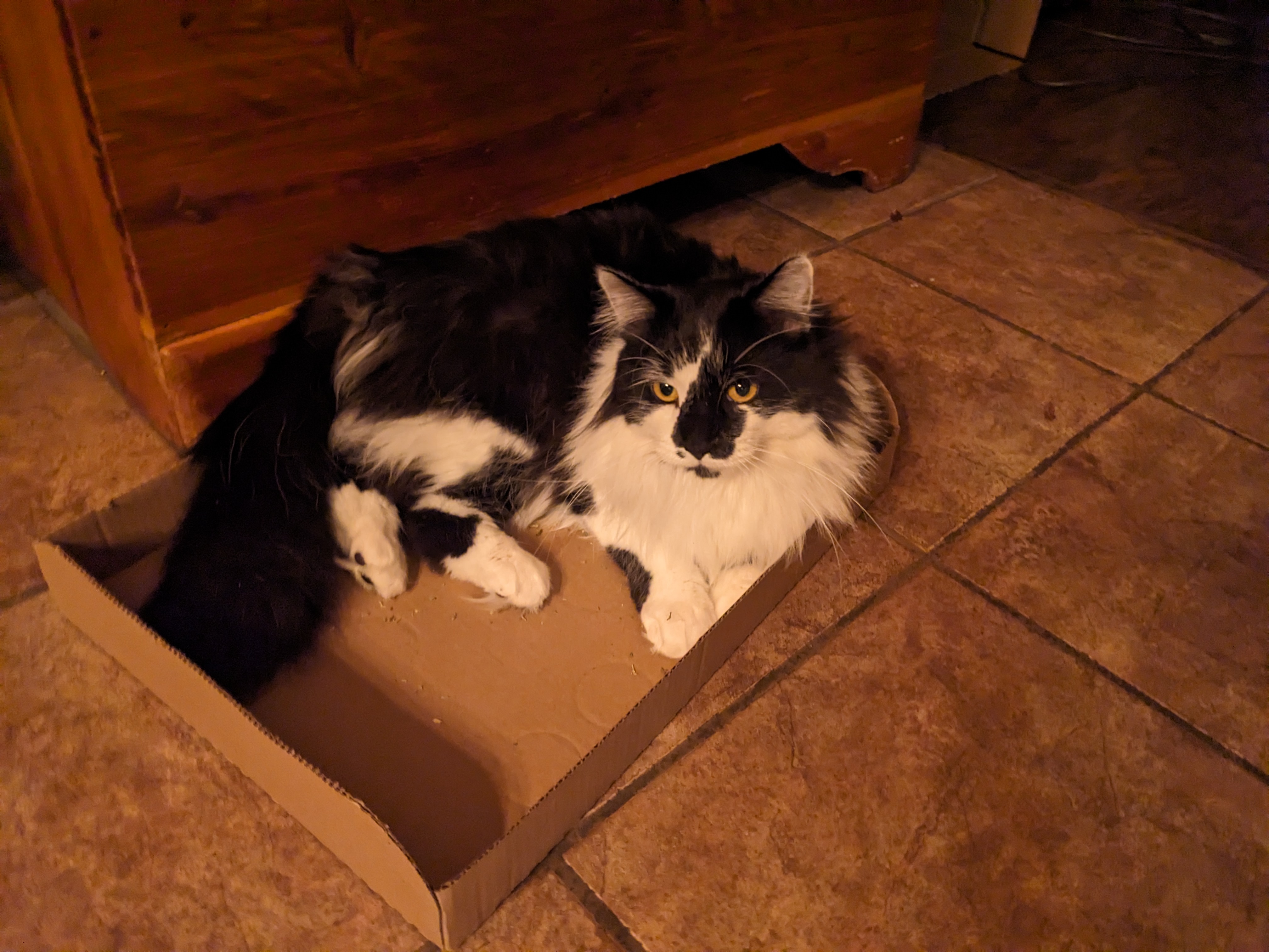 PXL 20240123 004344074