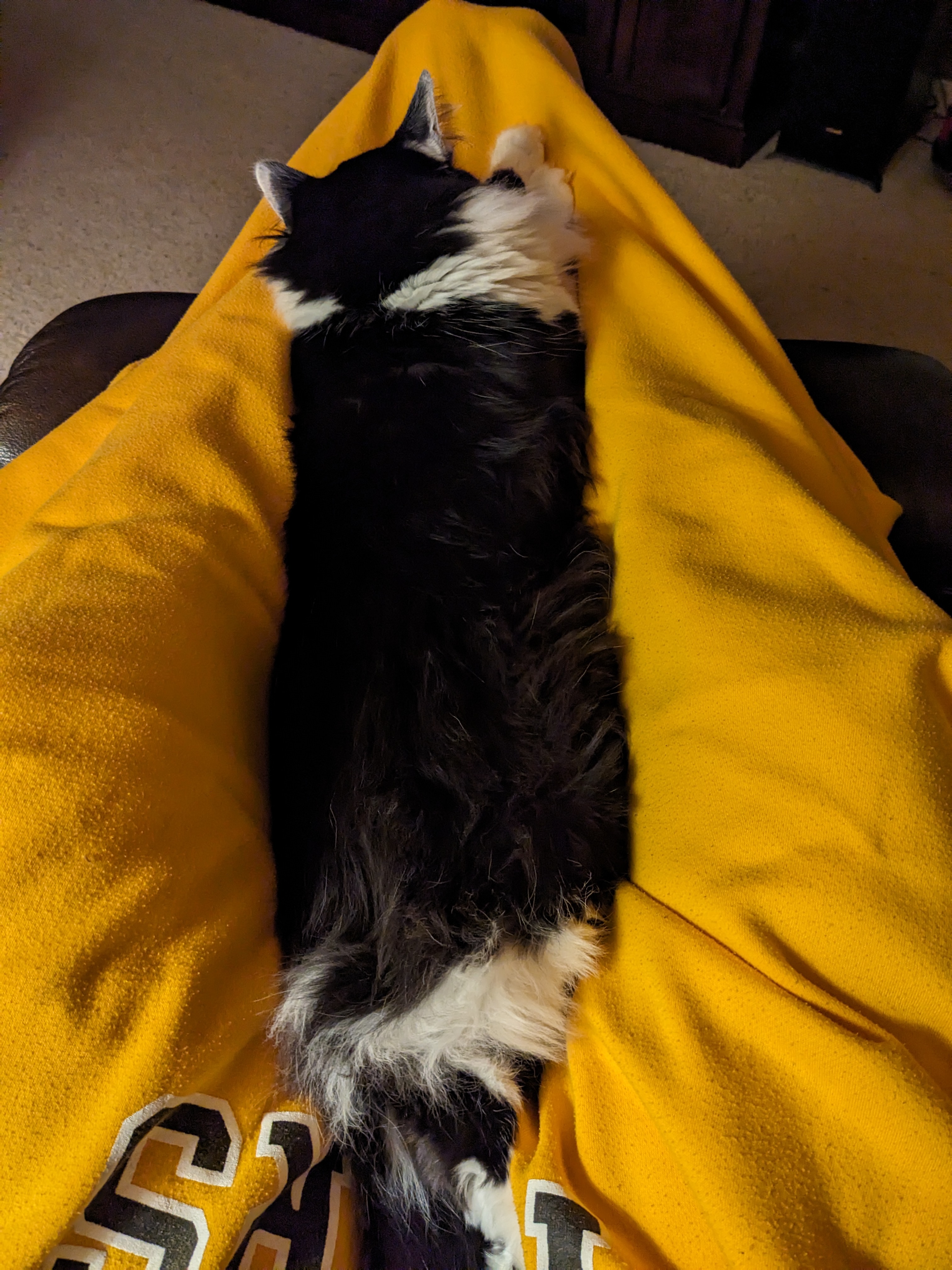 PXL 20240127 030848693