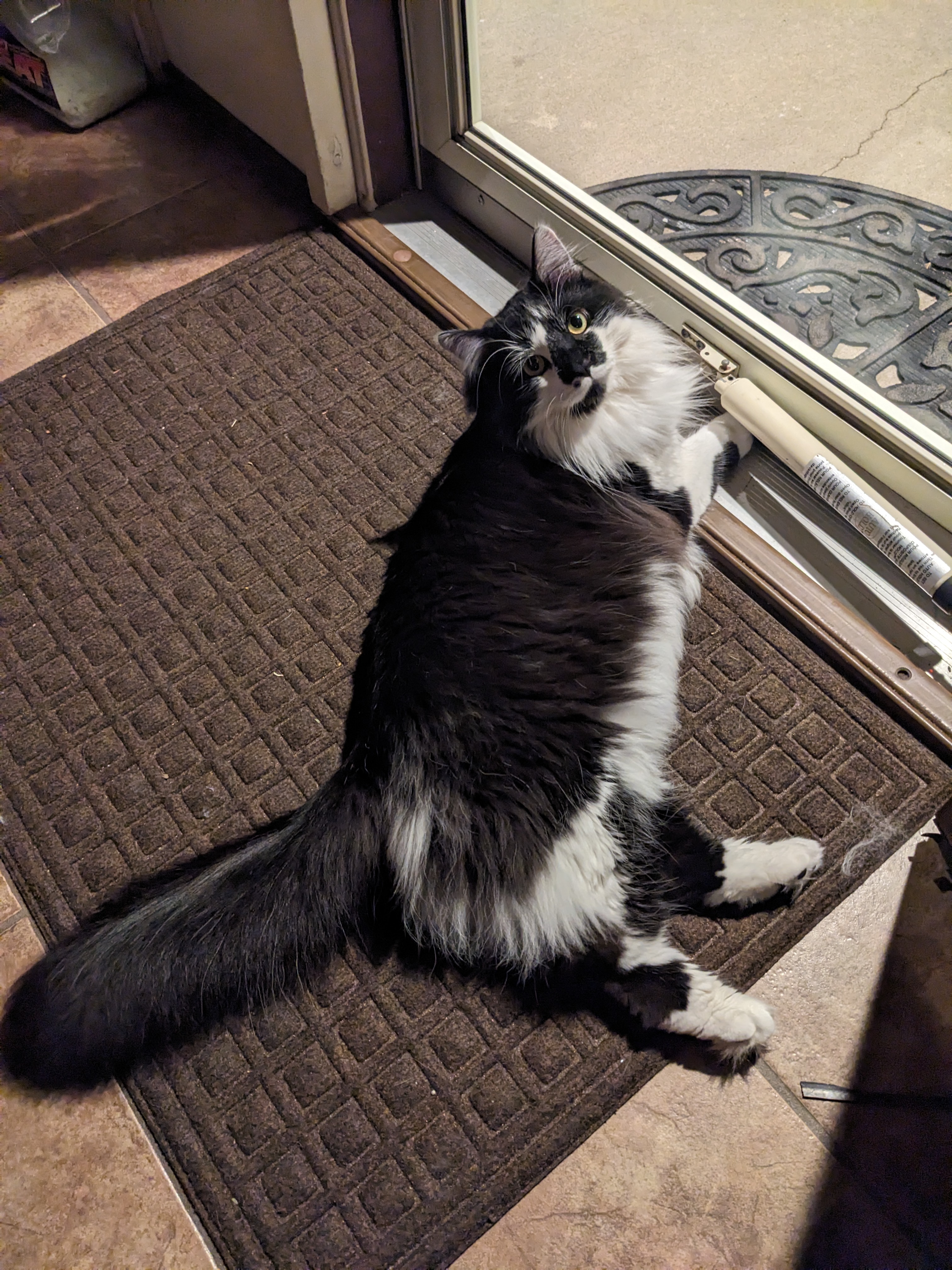 PXL 20240222 003139561