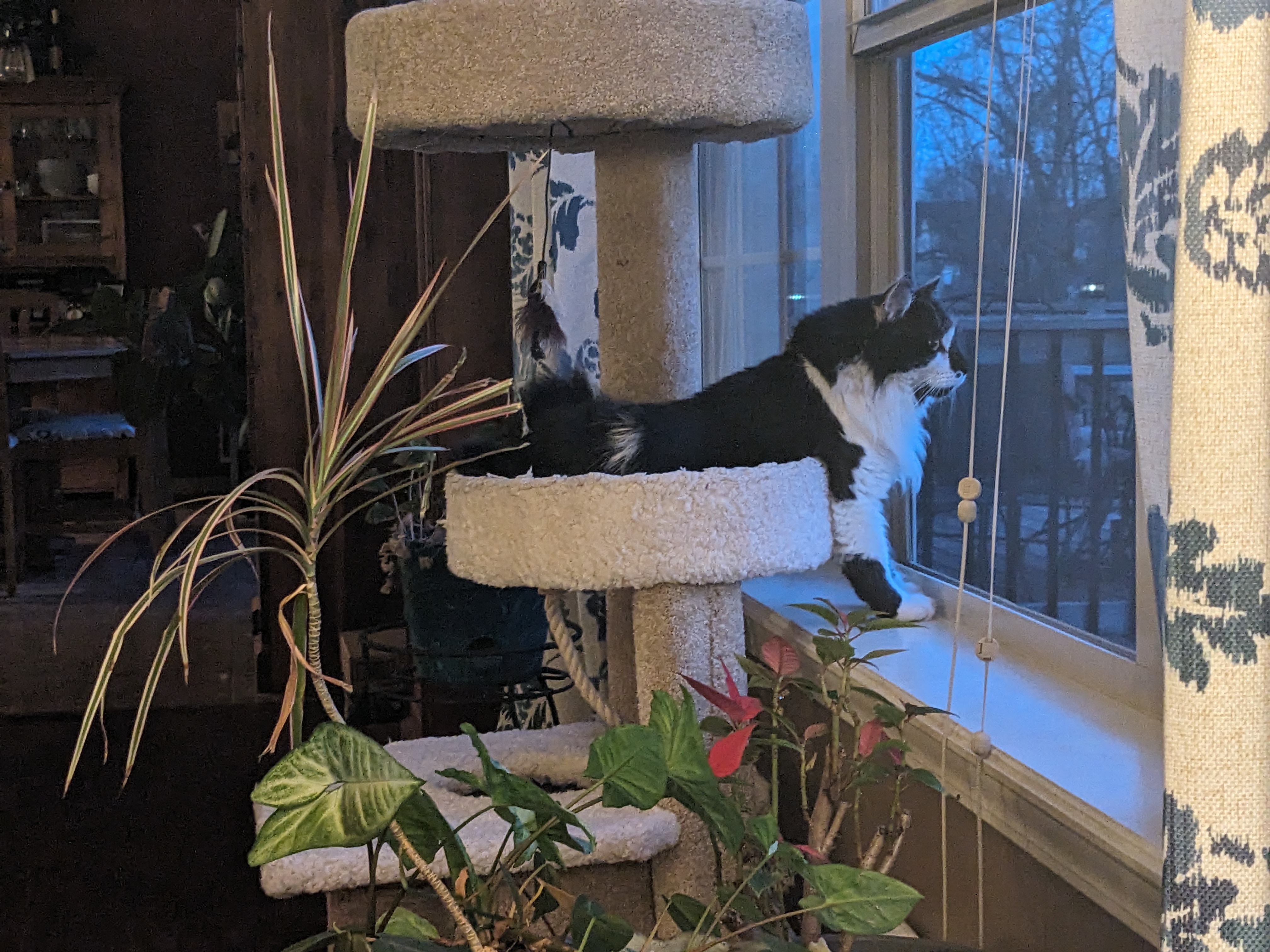 PXL 20240228 001545068