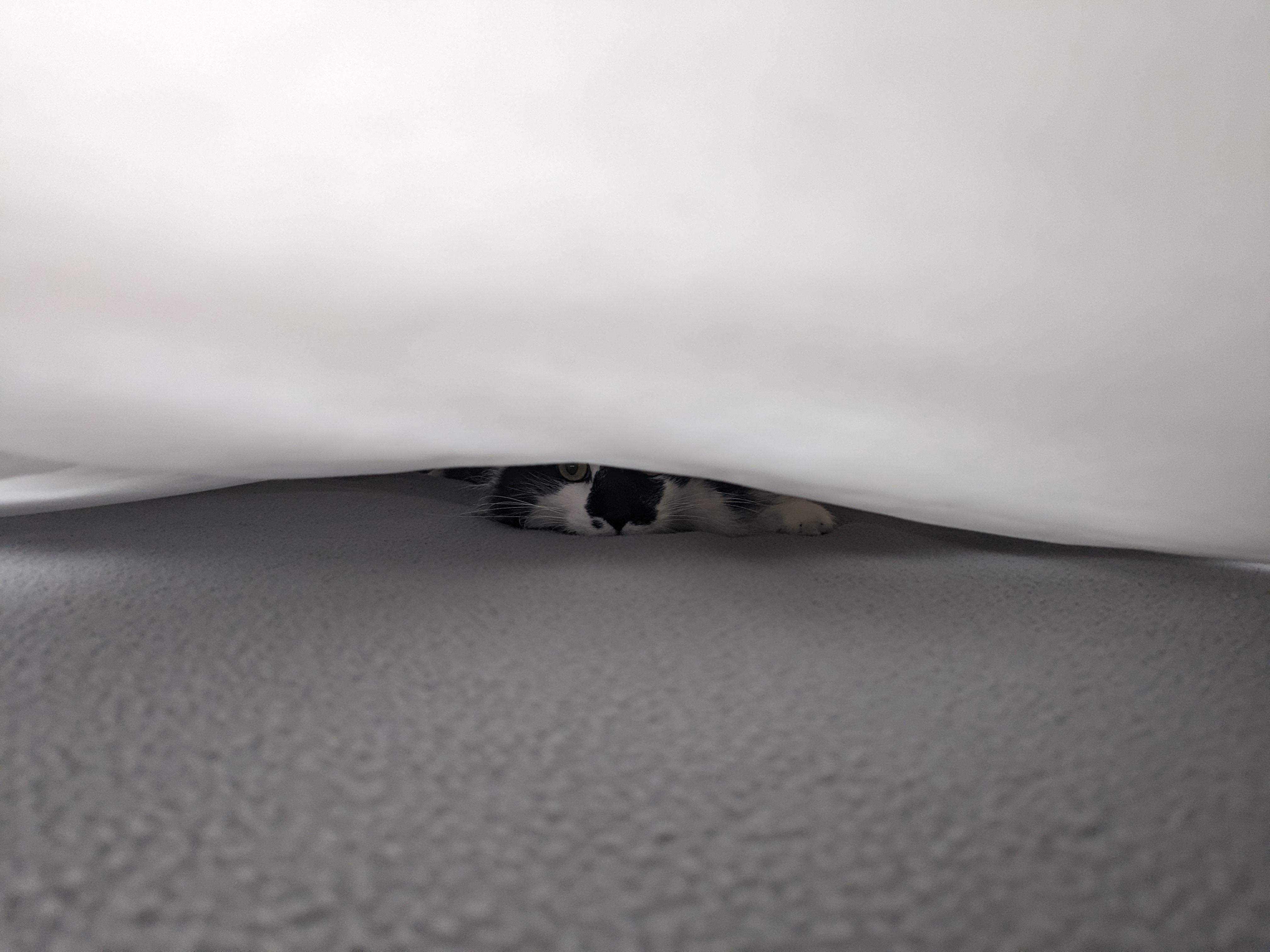 PXL 20240229 215802809