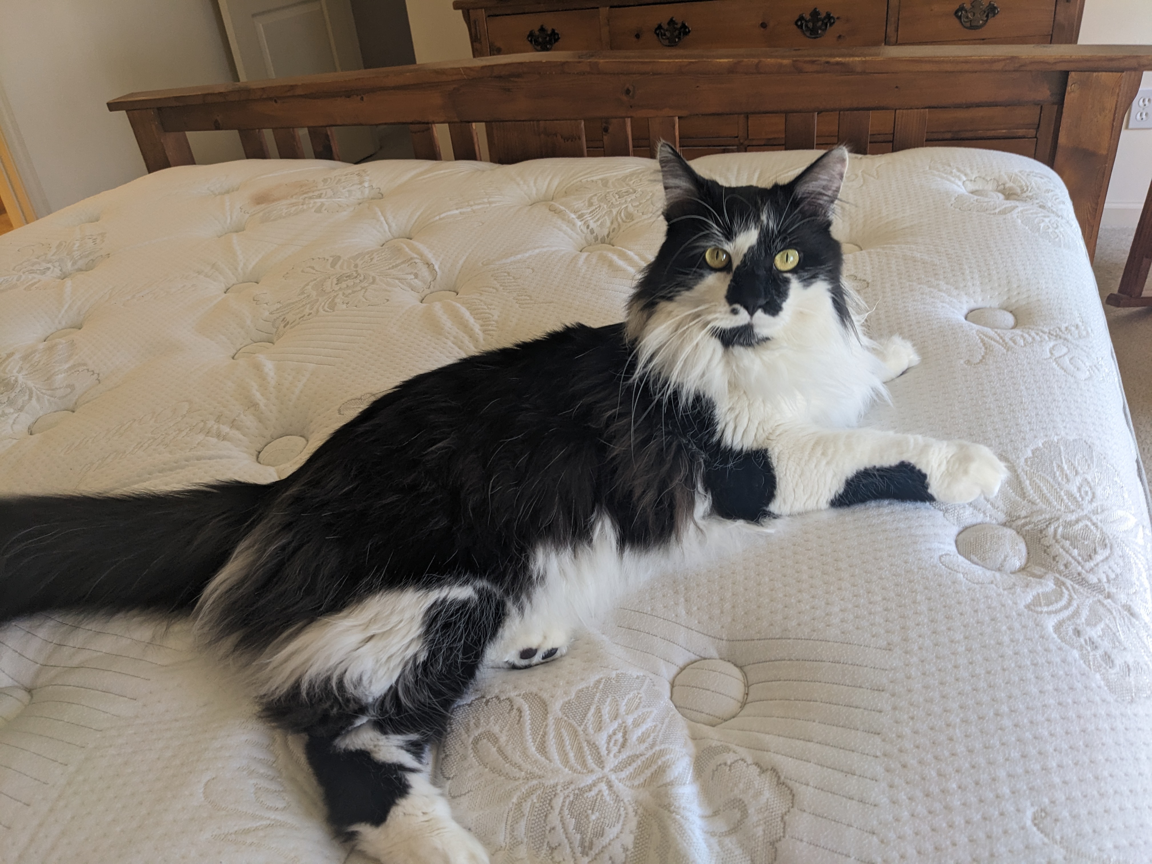 PXL 20240309 185438544