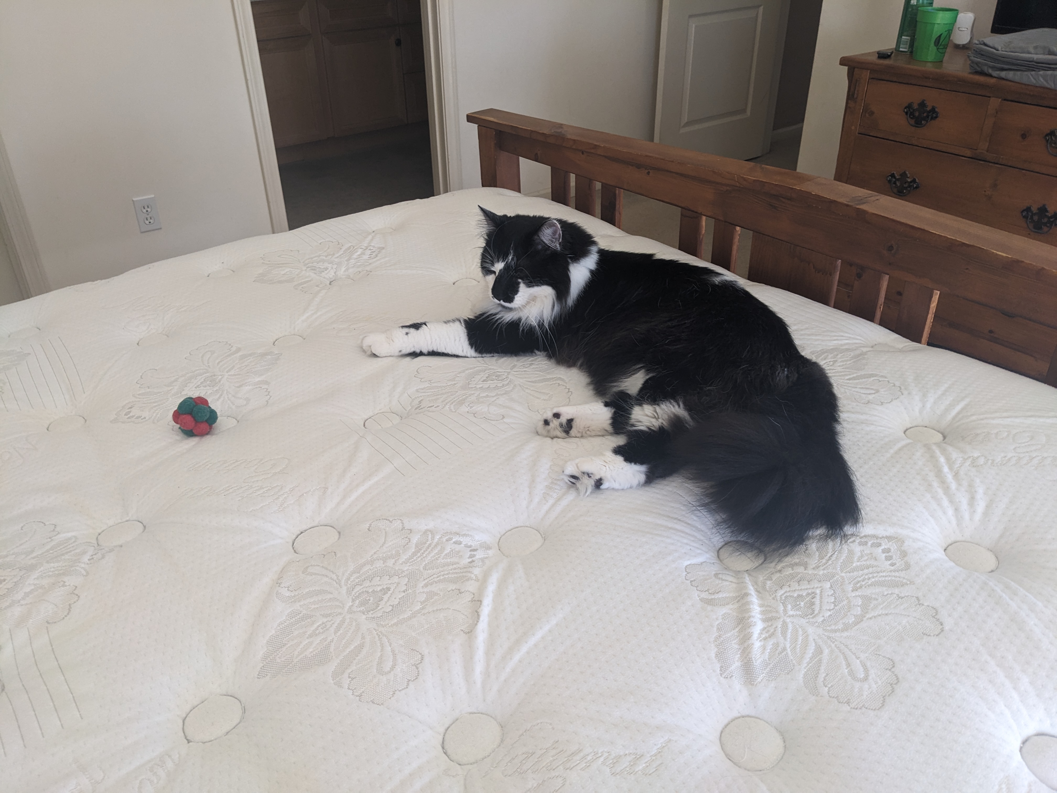 PXL 20240309 200140031