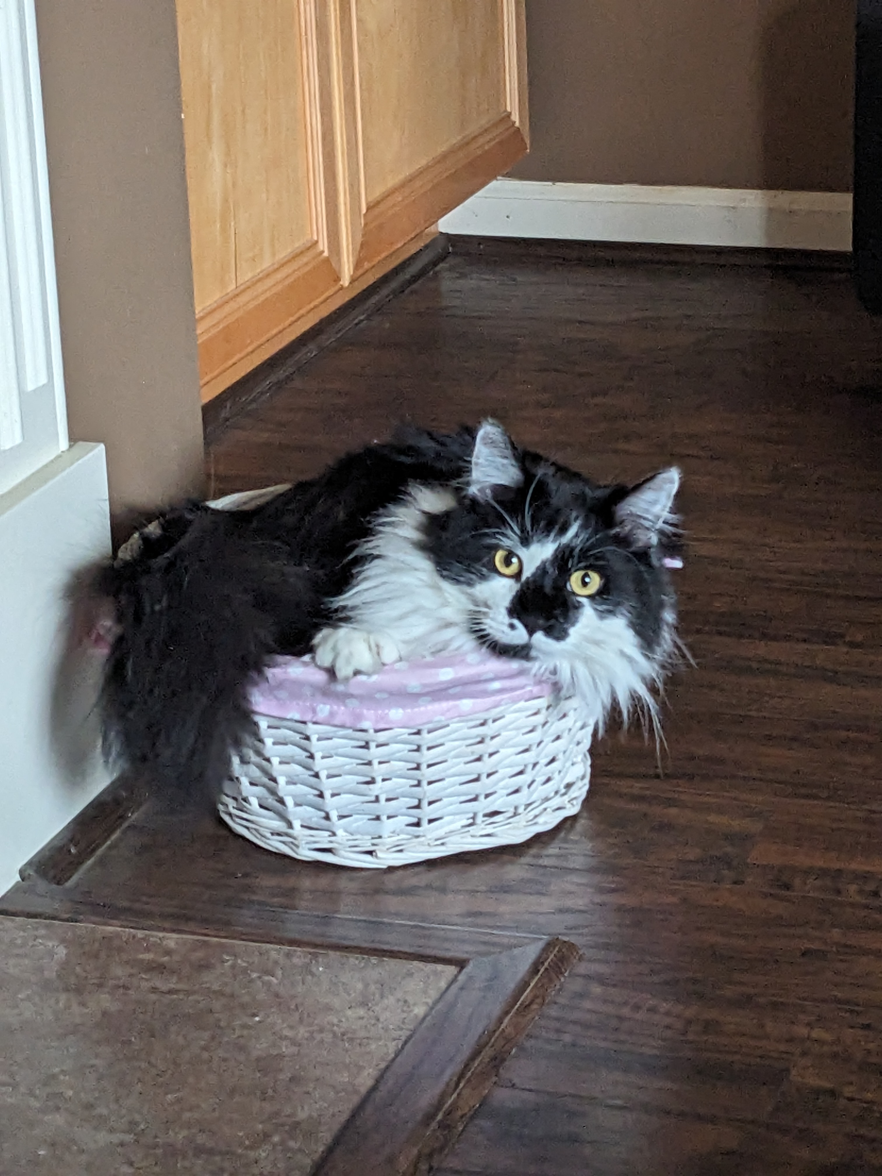 PXL 20240324 141345722