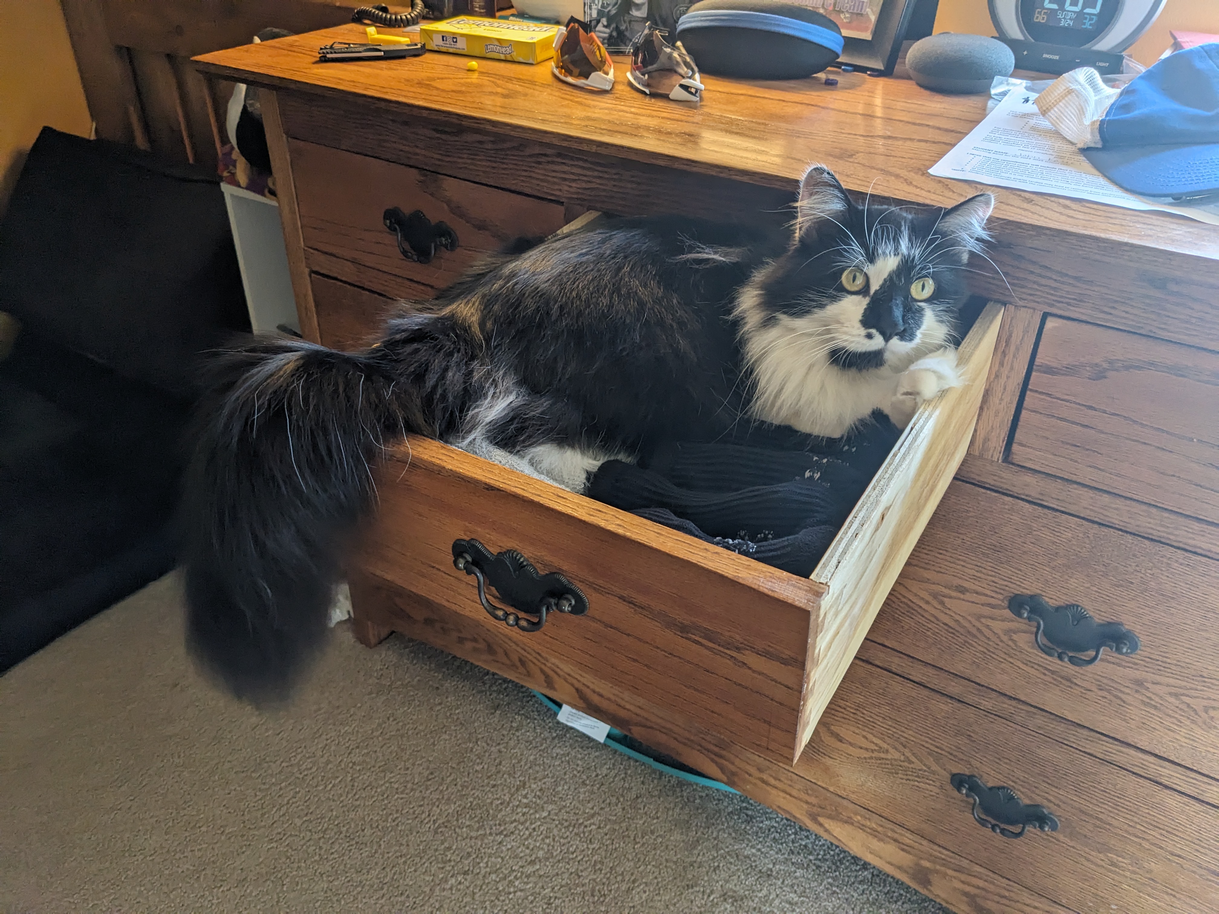 PXL 20240324 190258614