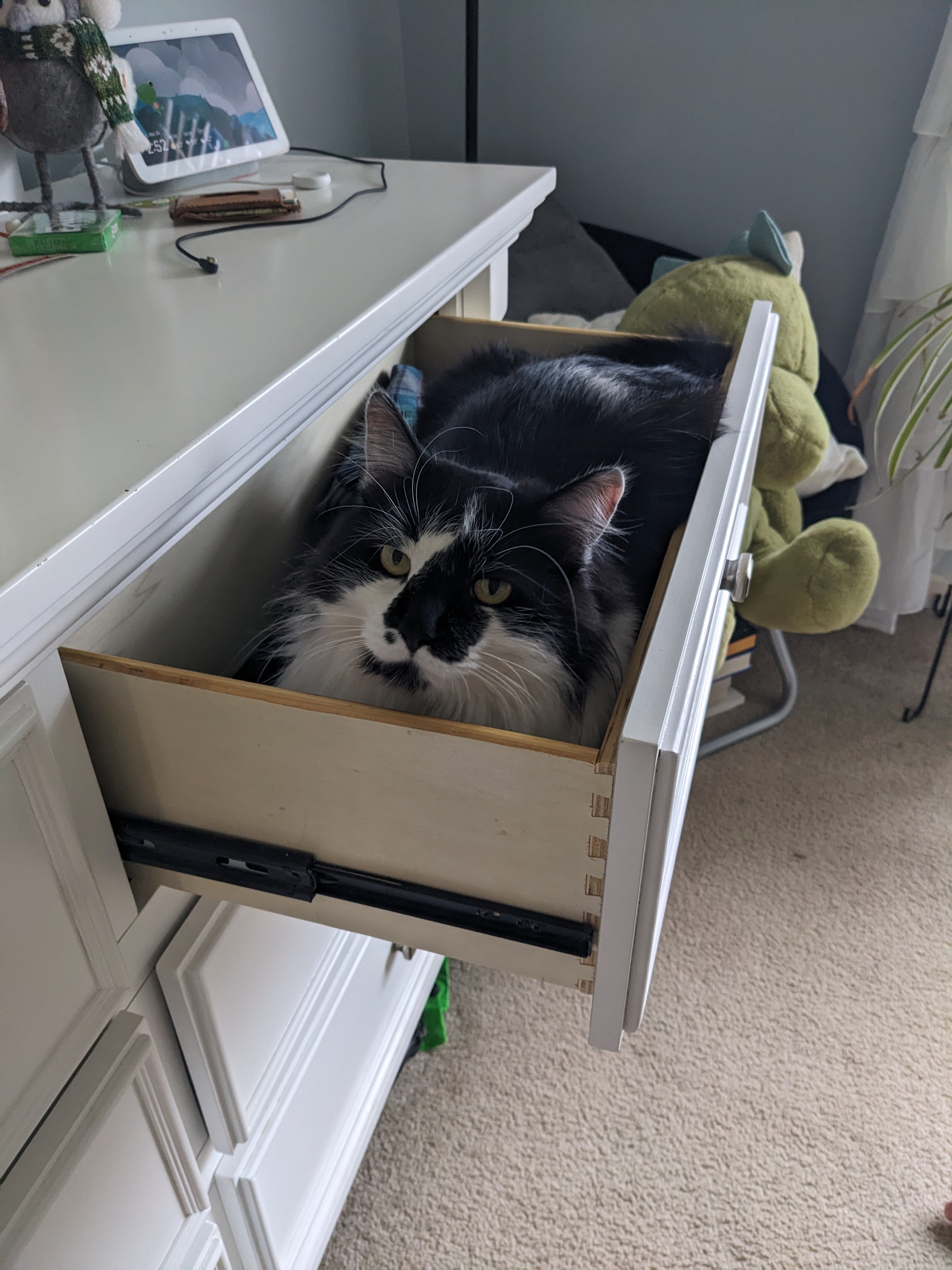 PXL 20240324 195211343