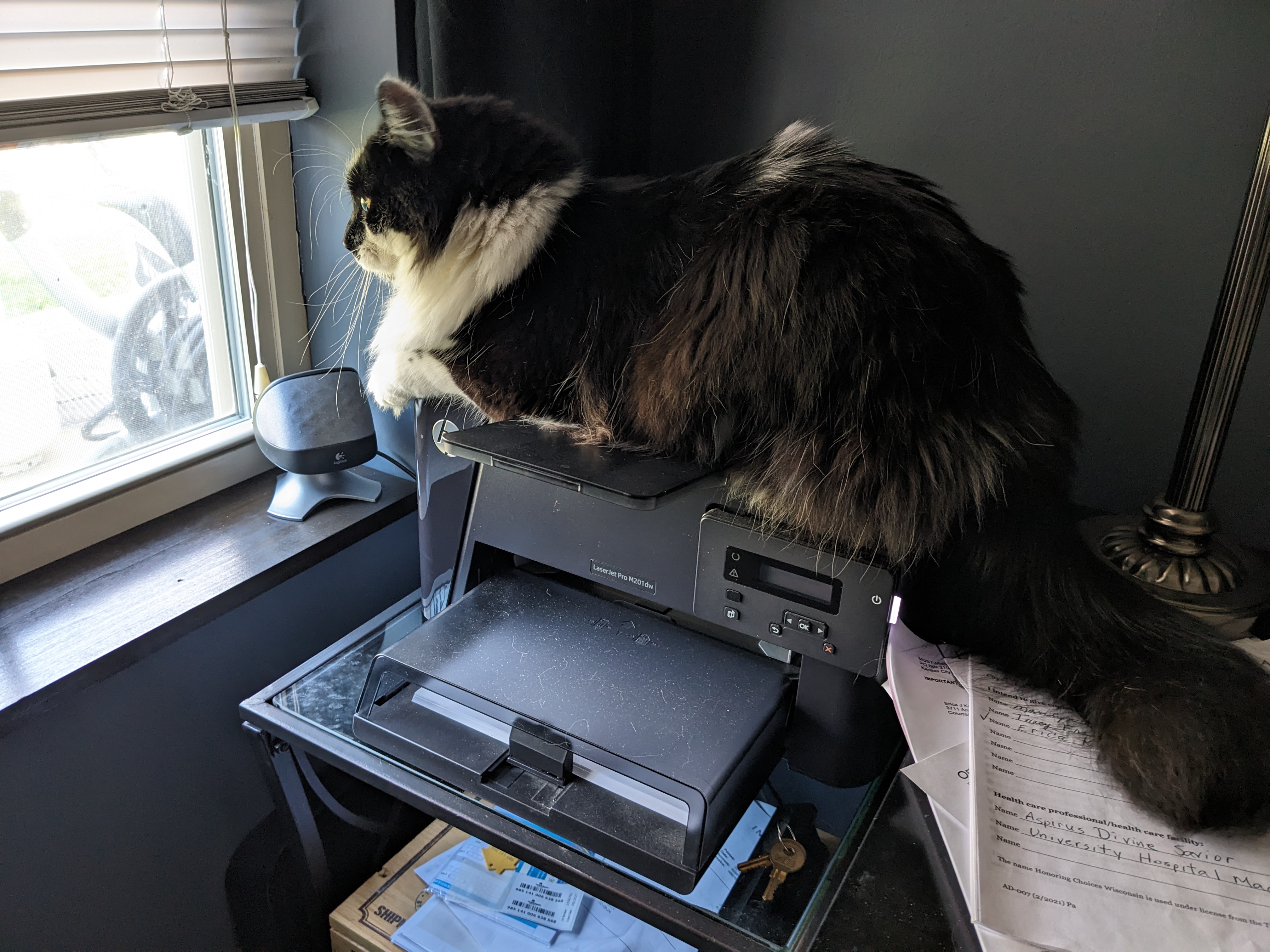 PXL 20240406 152508422