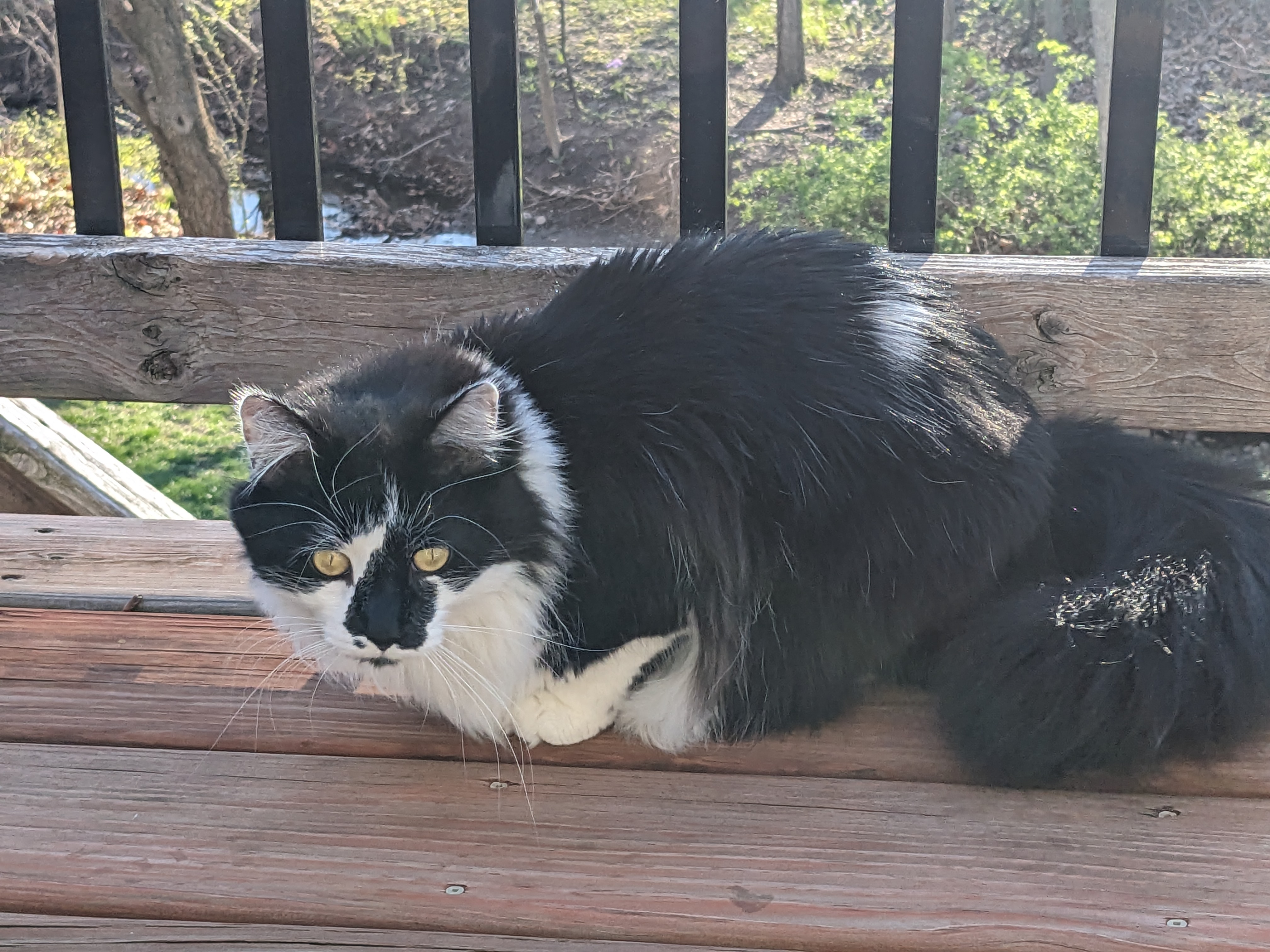 PXL 20240406 230225481