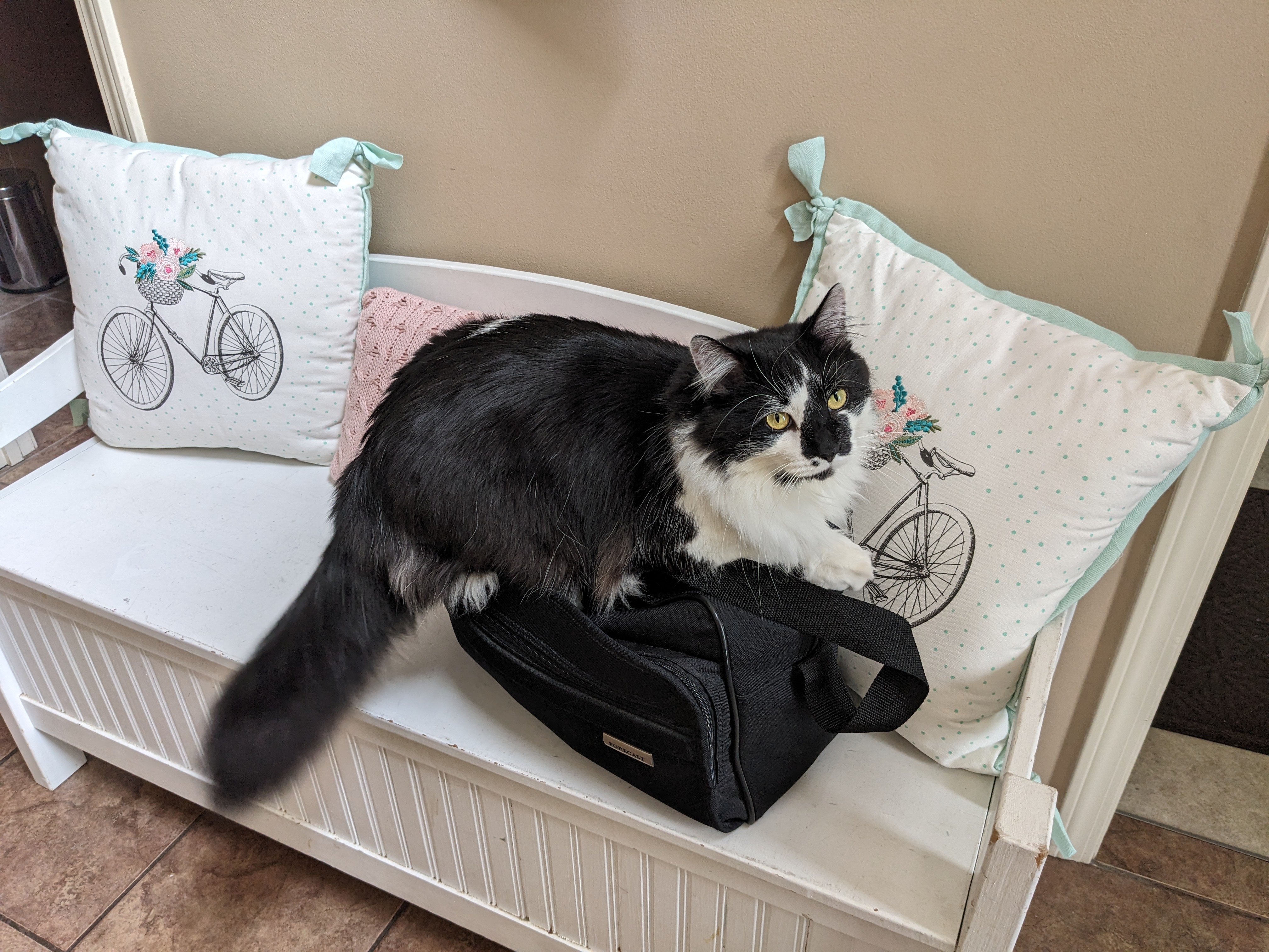 PXL 20240410 200153120.MP