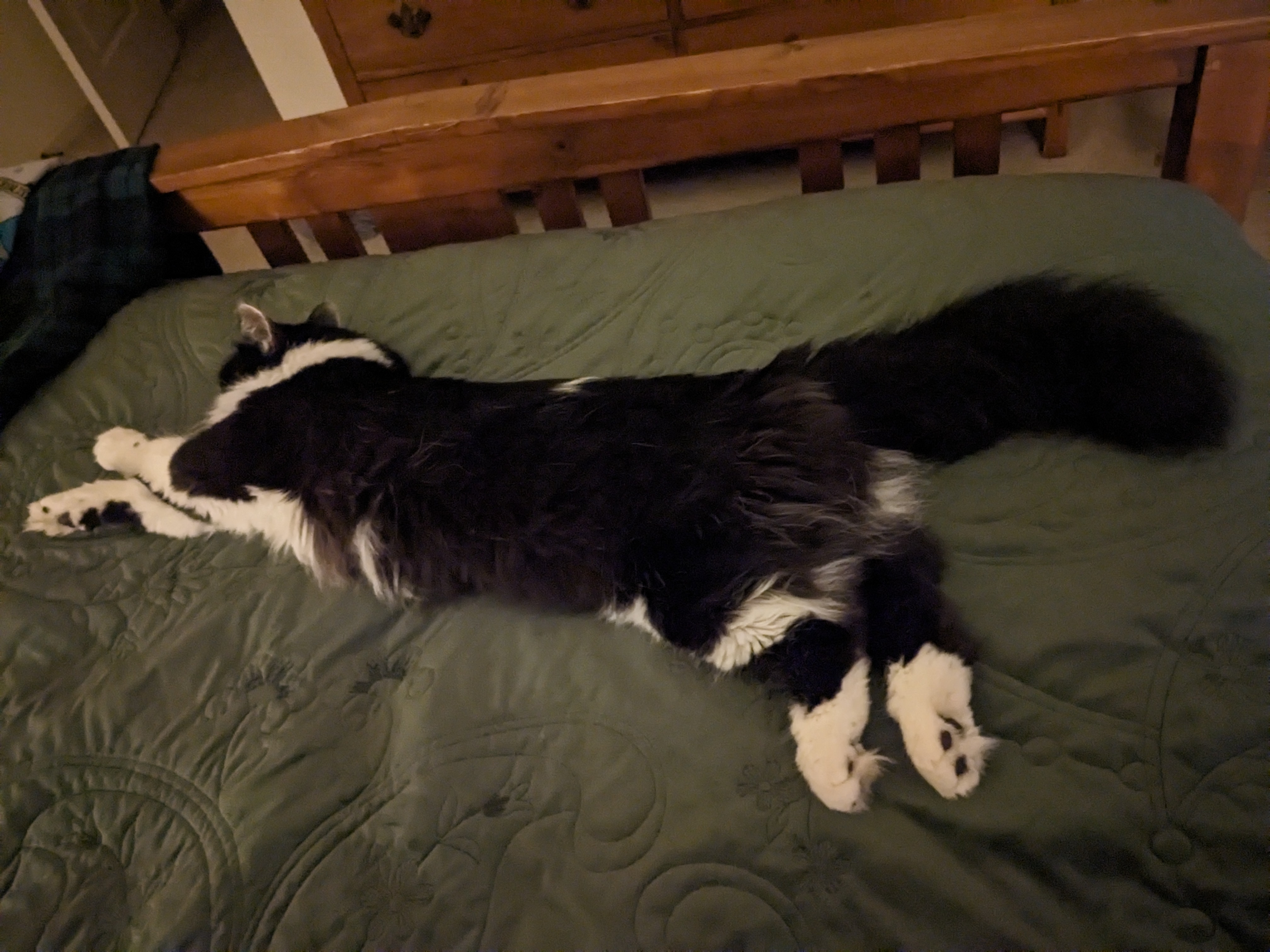 PXL 20240419 005427645