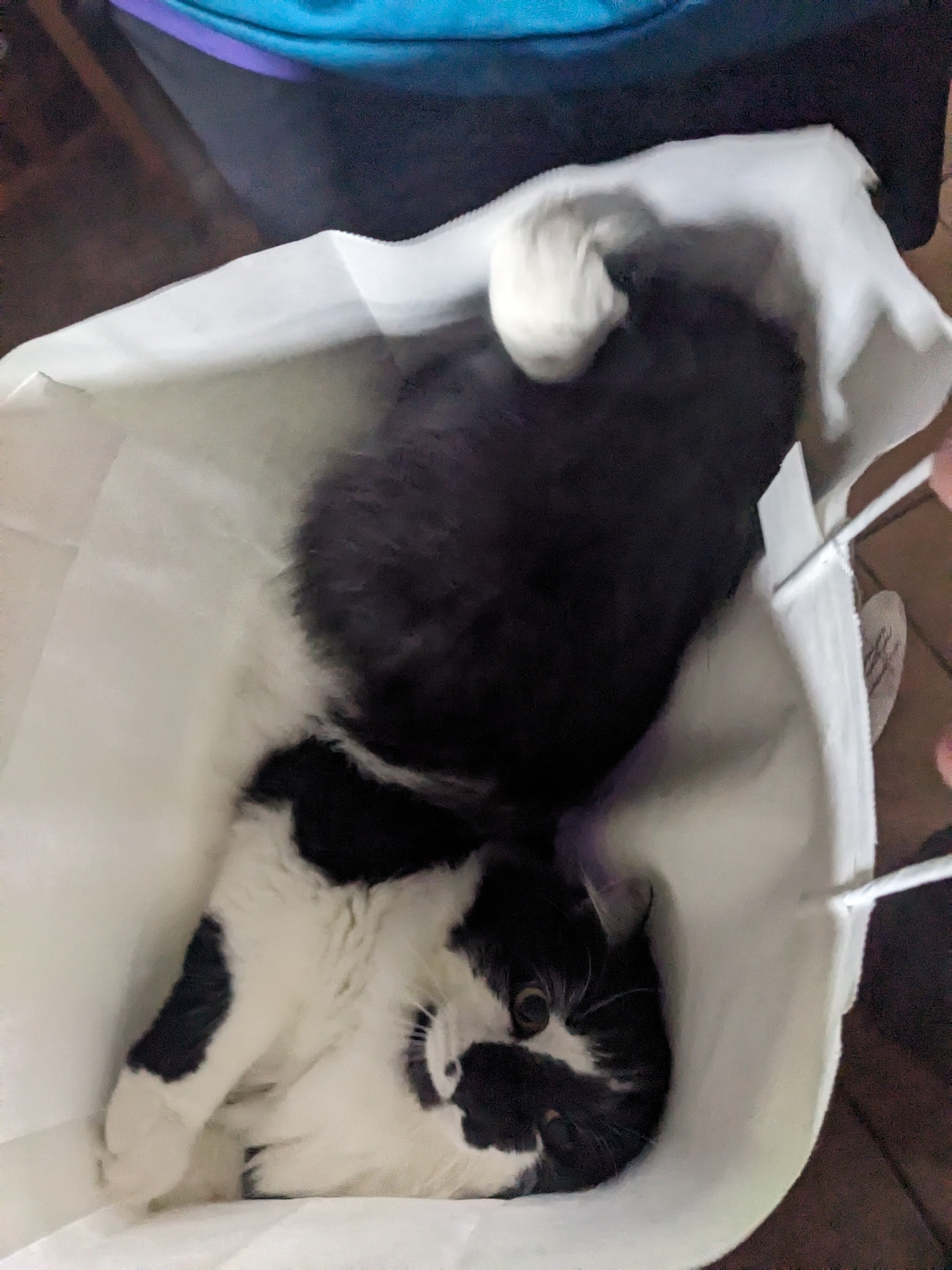 PXL 20240503 130322563