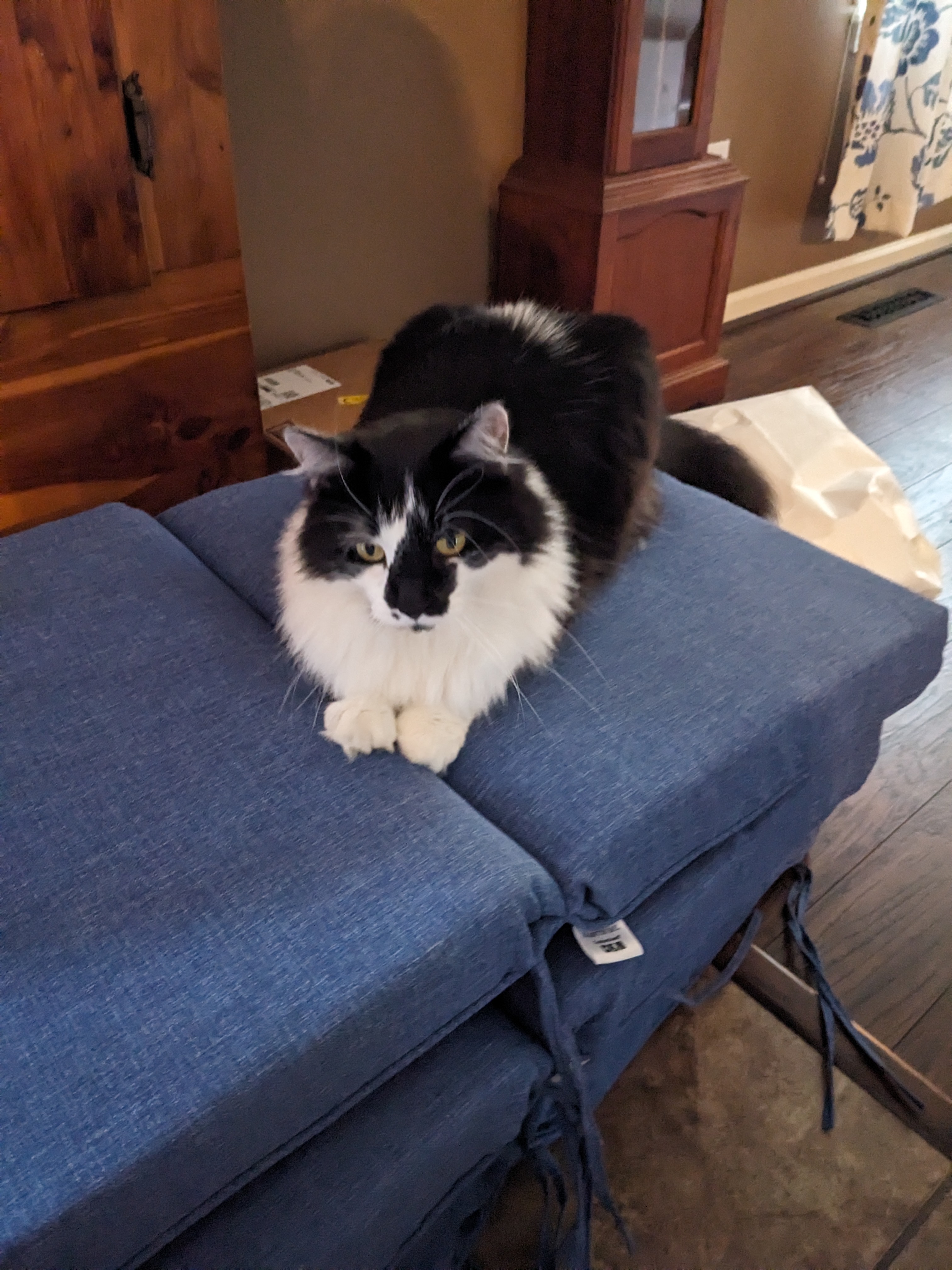 PXL 20240506 000553329