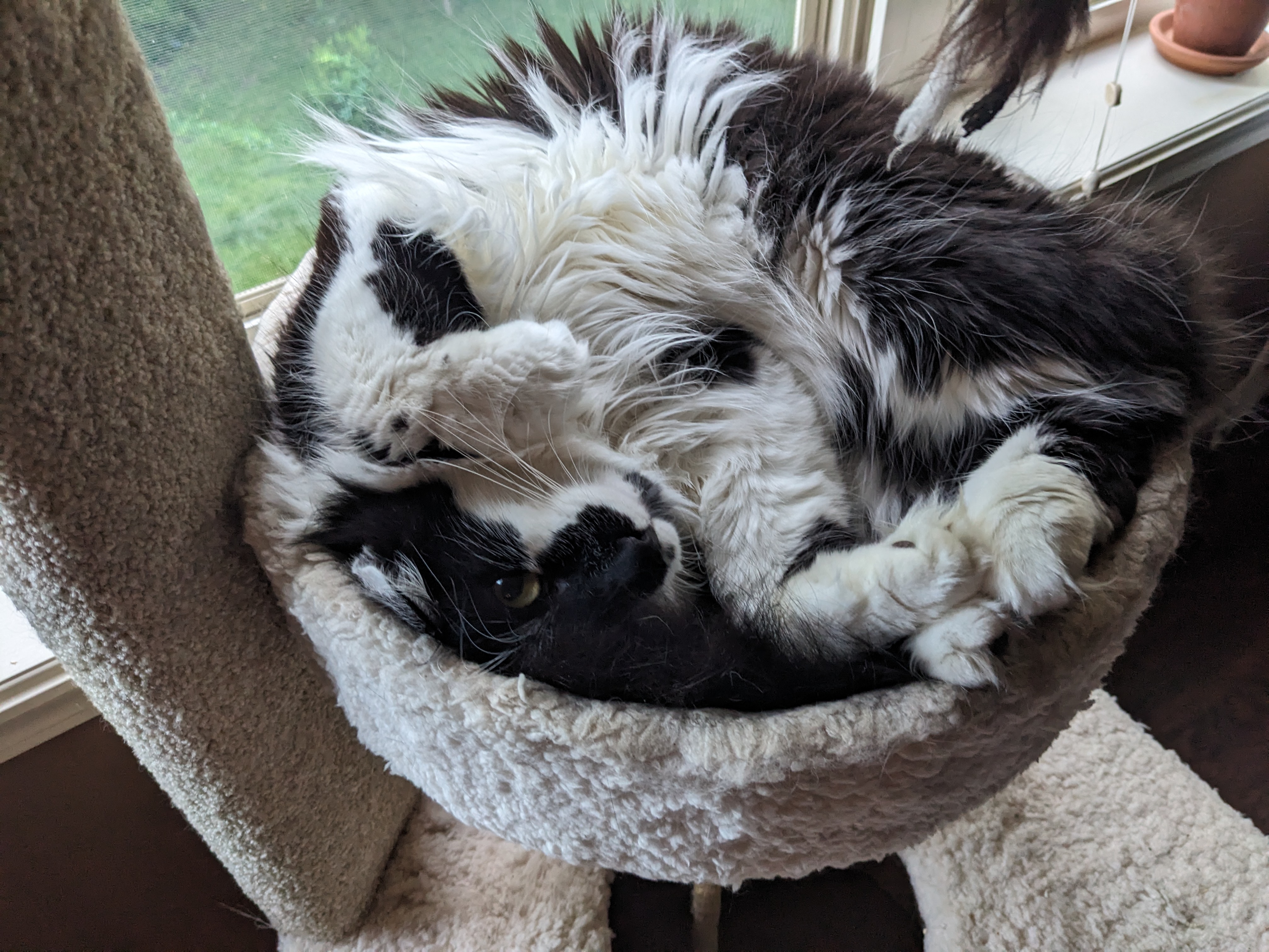 PXL 20240529 005533442