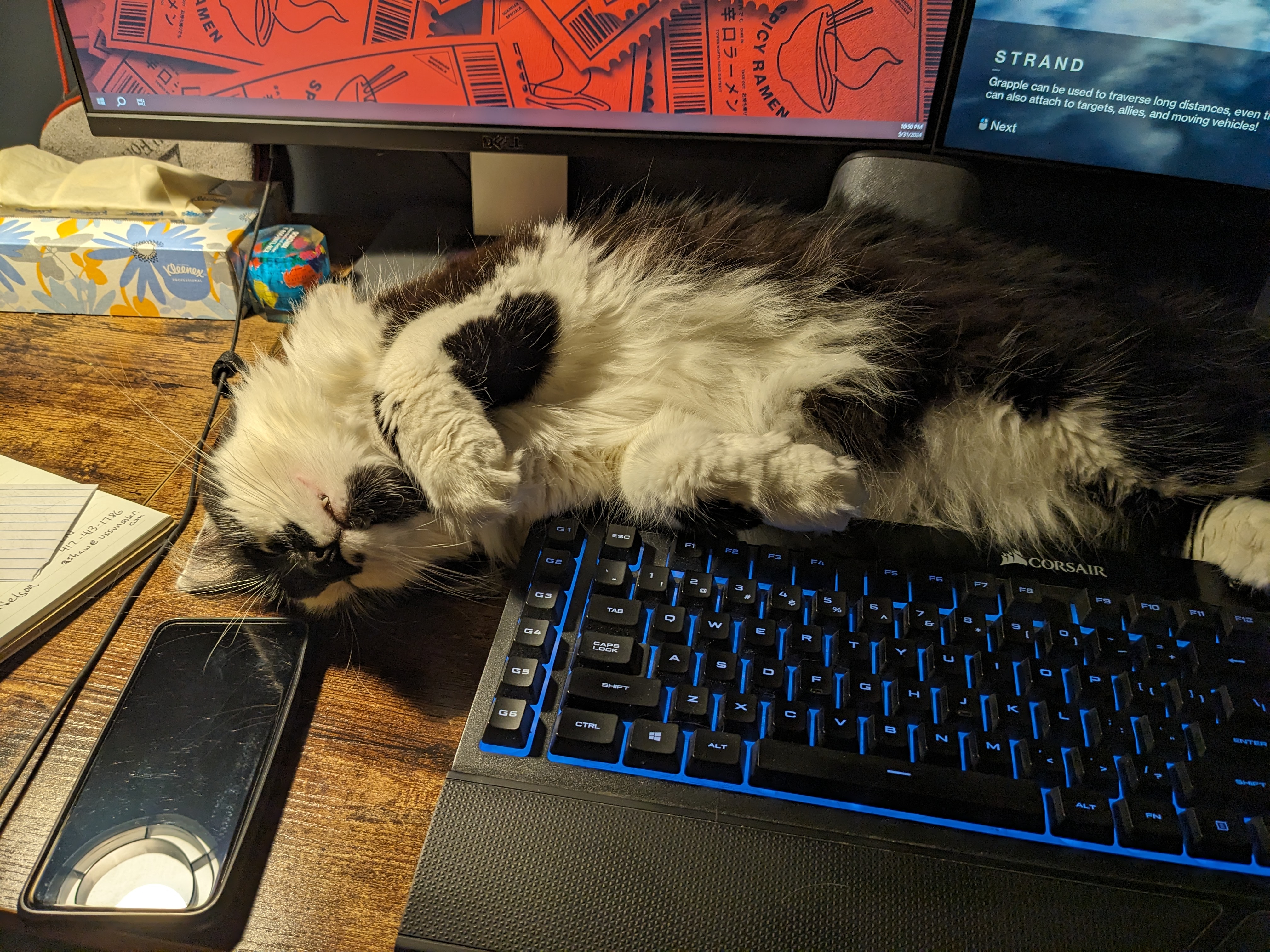 PXL 20240601 035002746