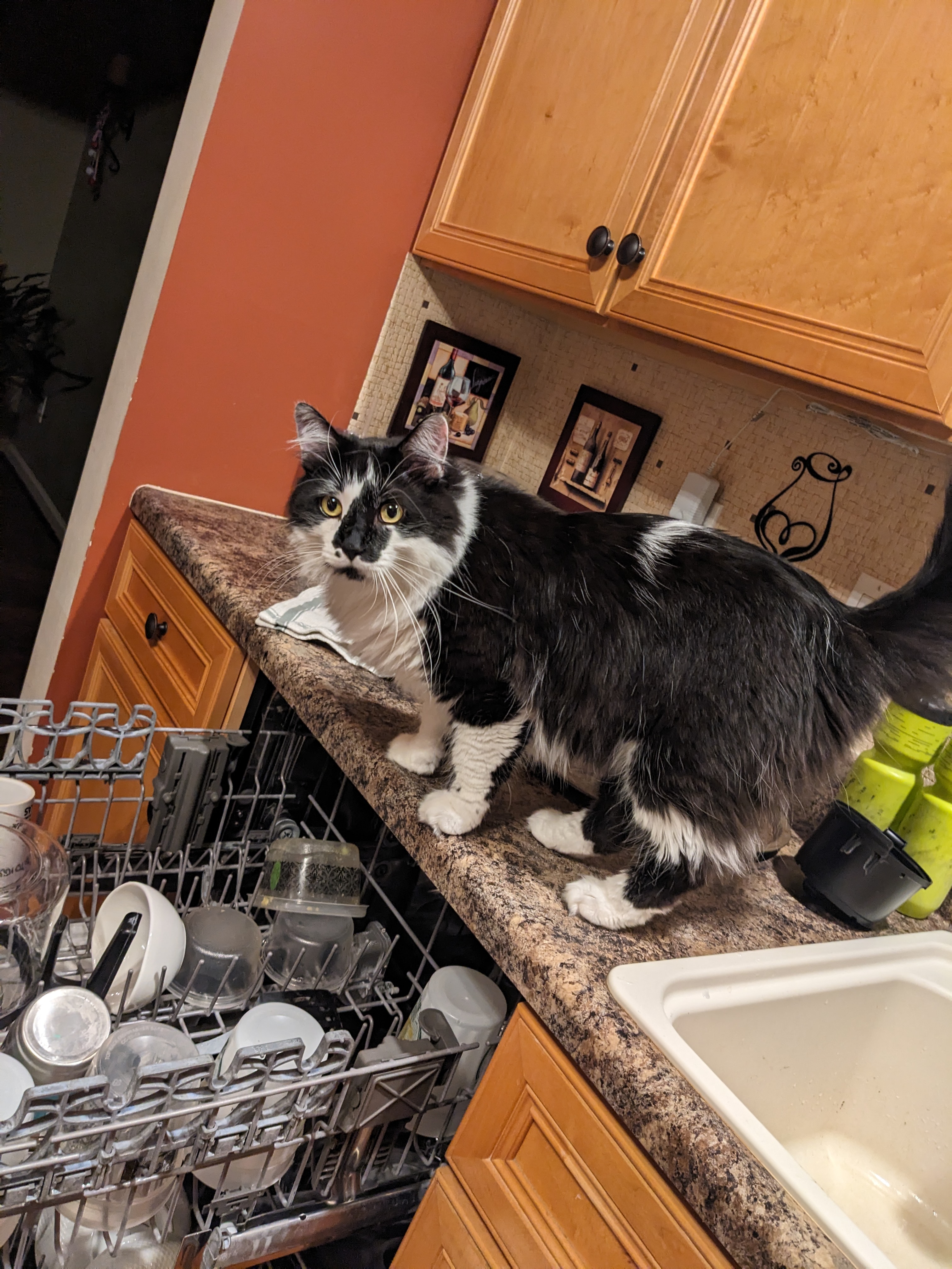 PXL 20240614 015318291