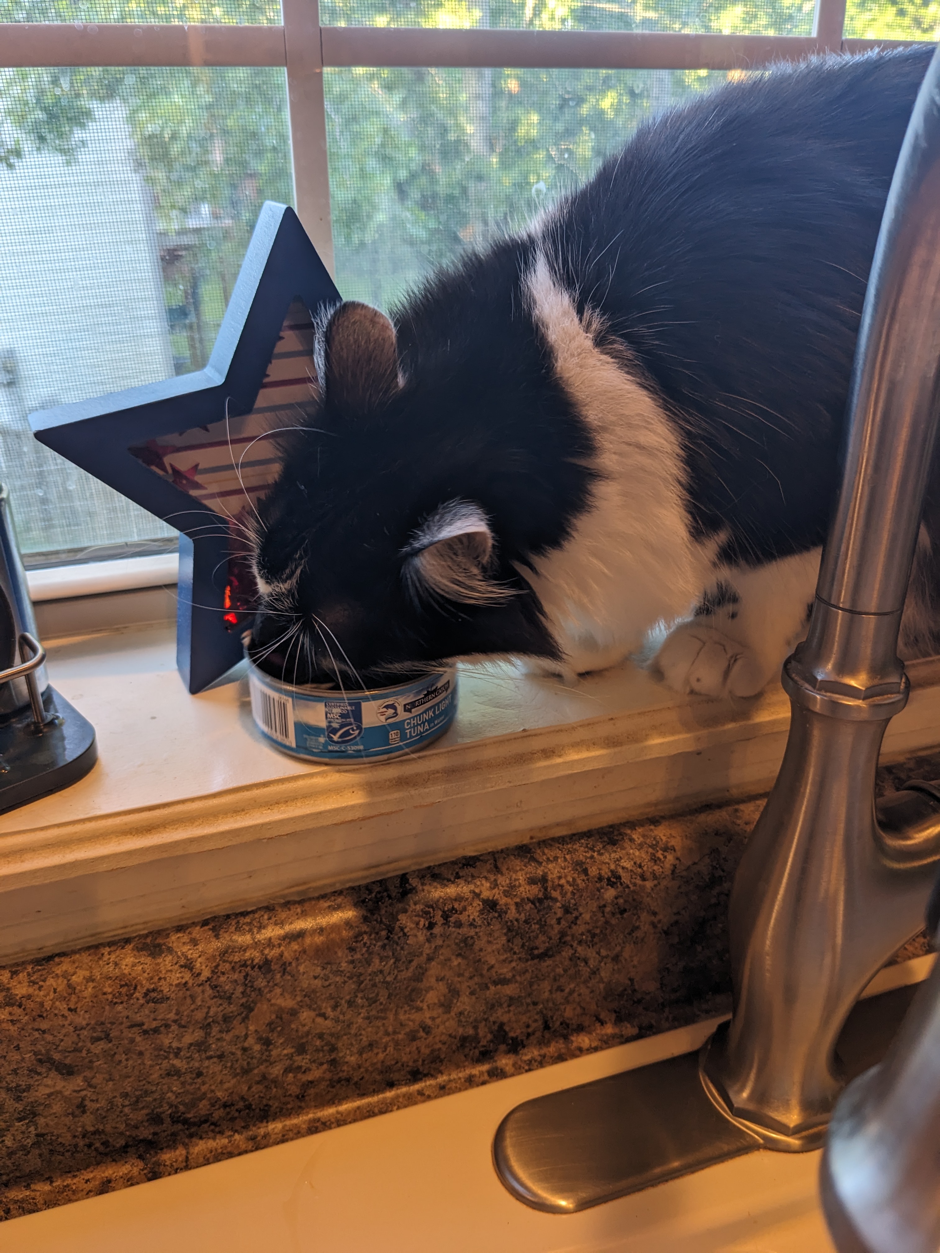 PXL 20240618 114828711