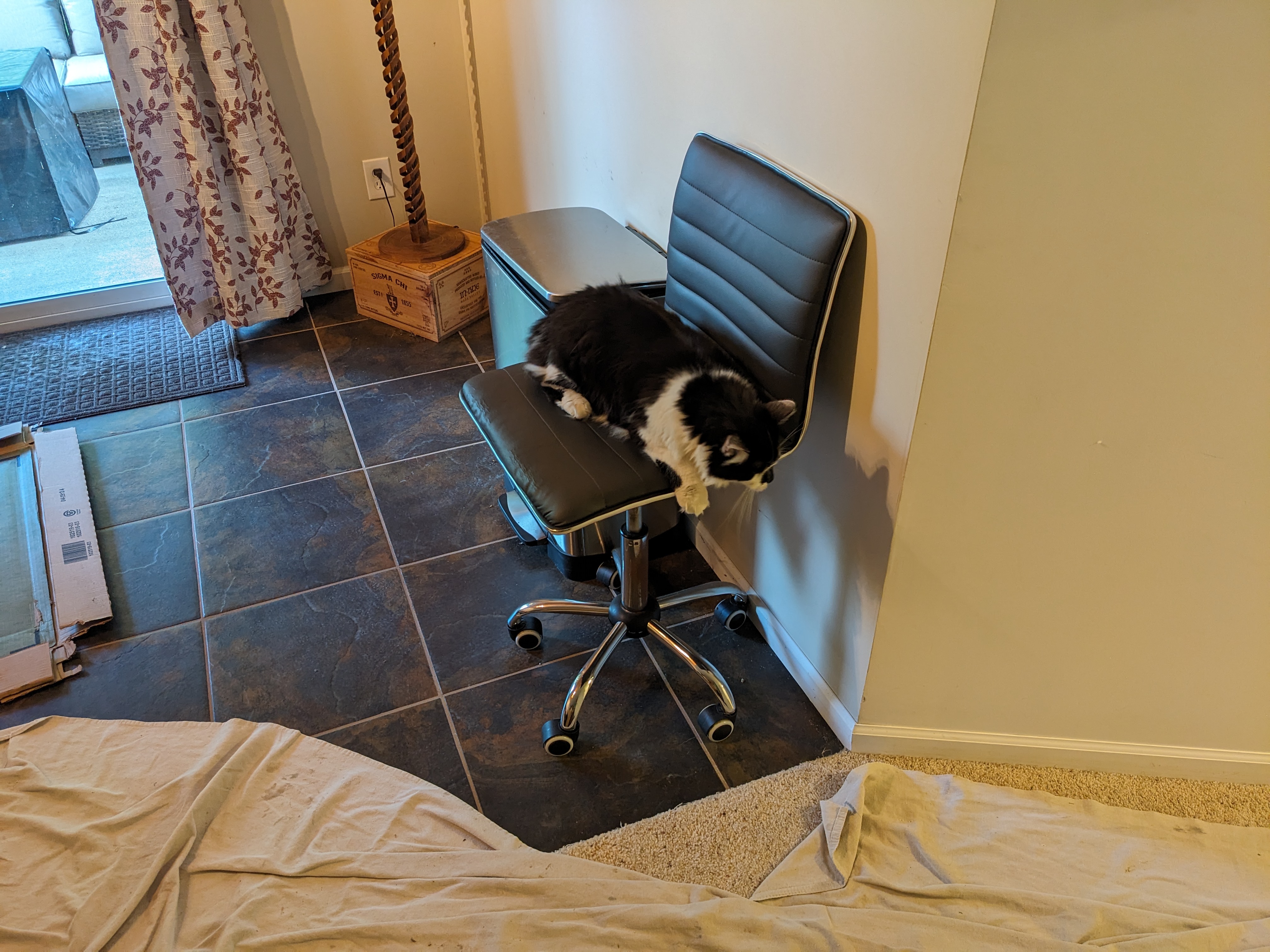 PXL 20240621 143800745