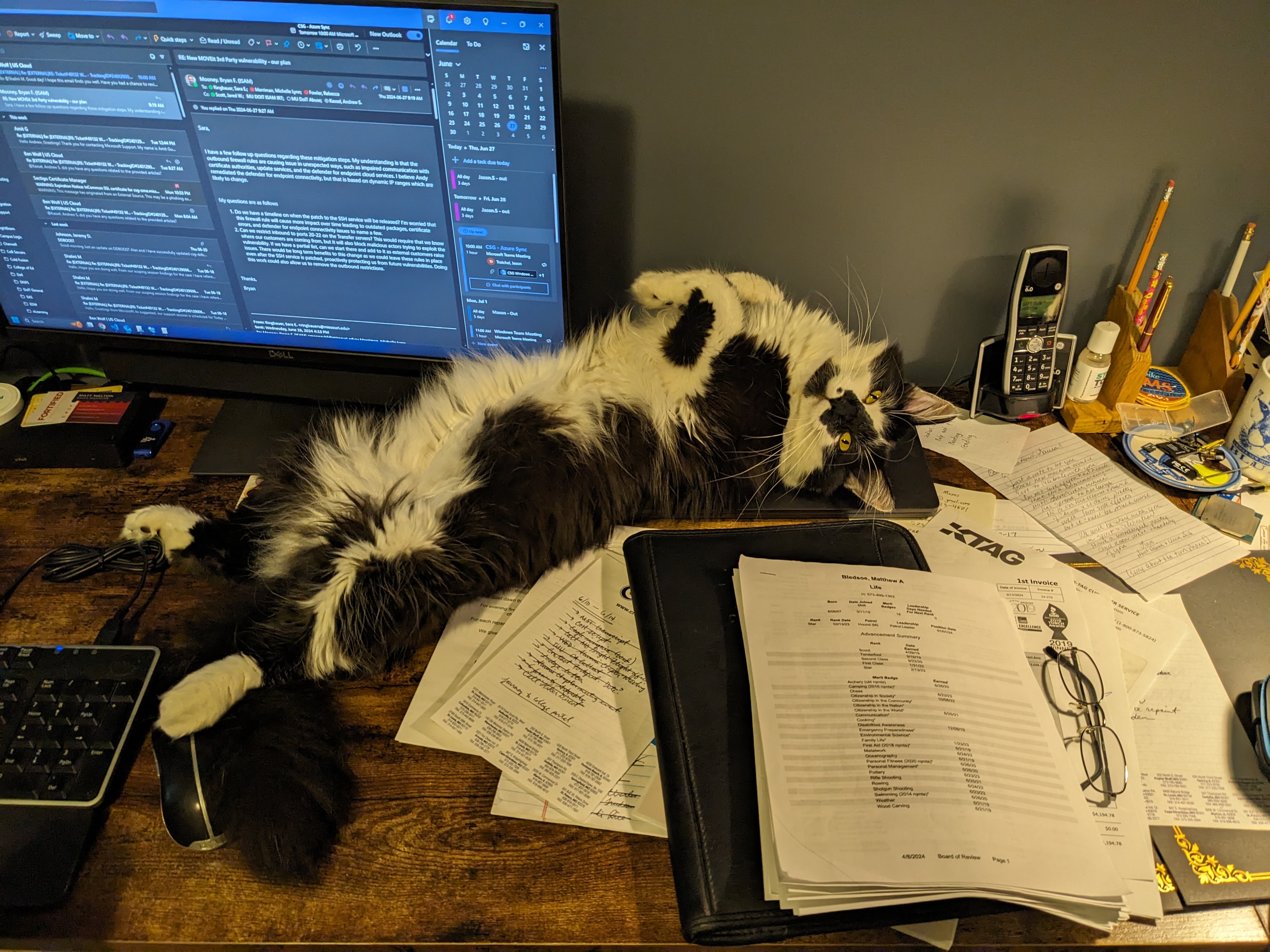 PXL 20240627 152928284.MP