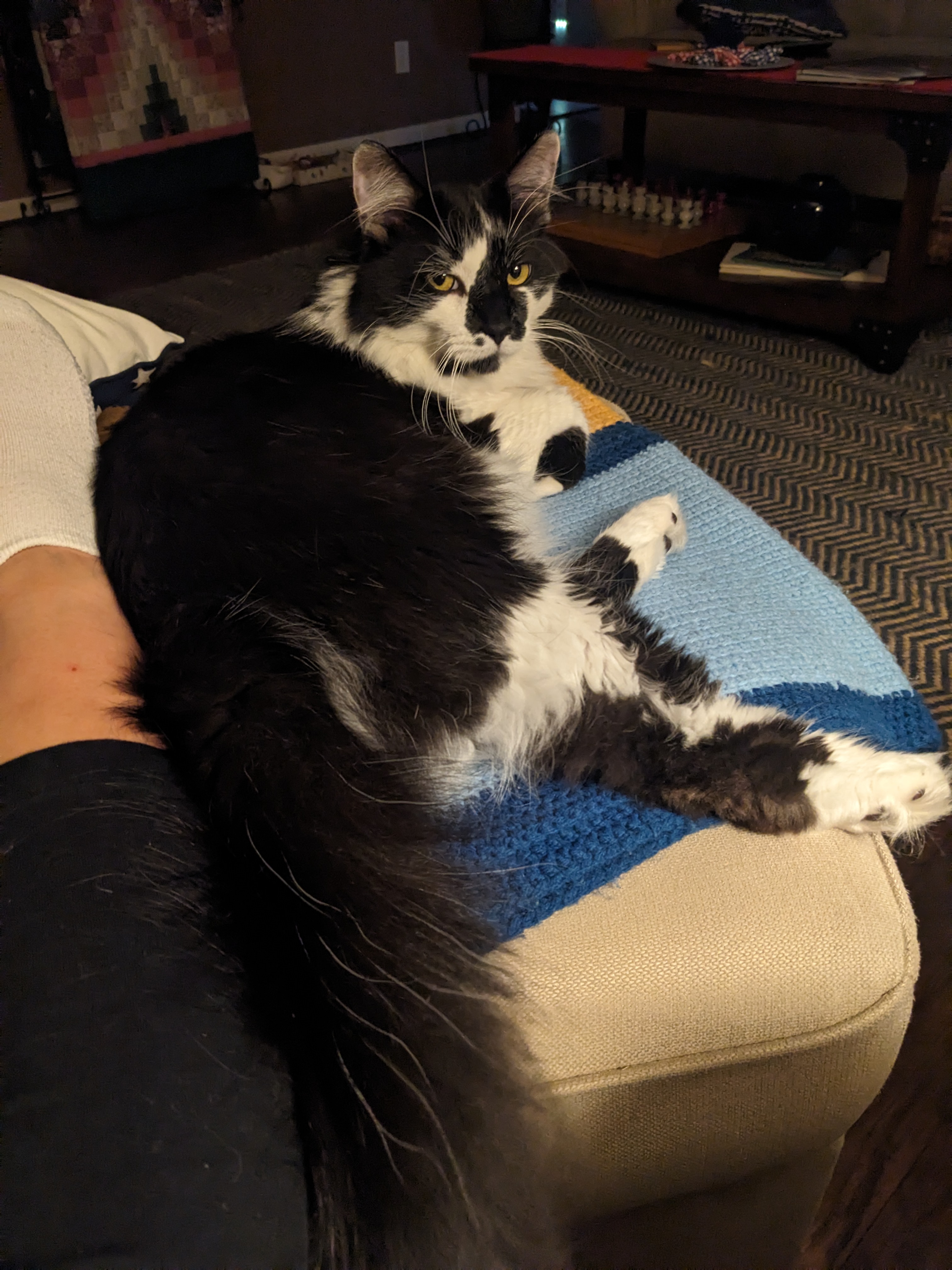 PXL 20240704 113116605