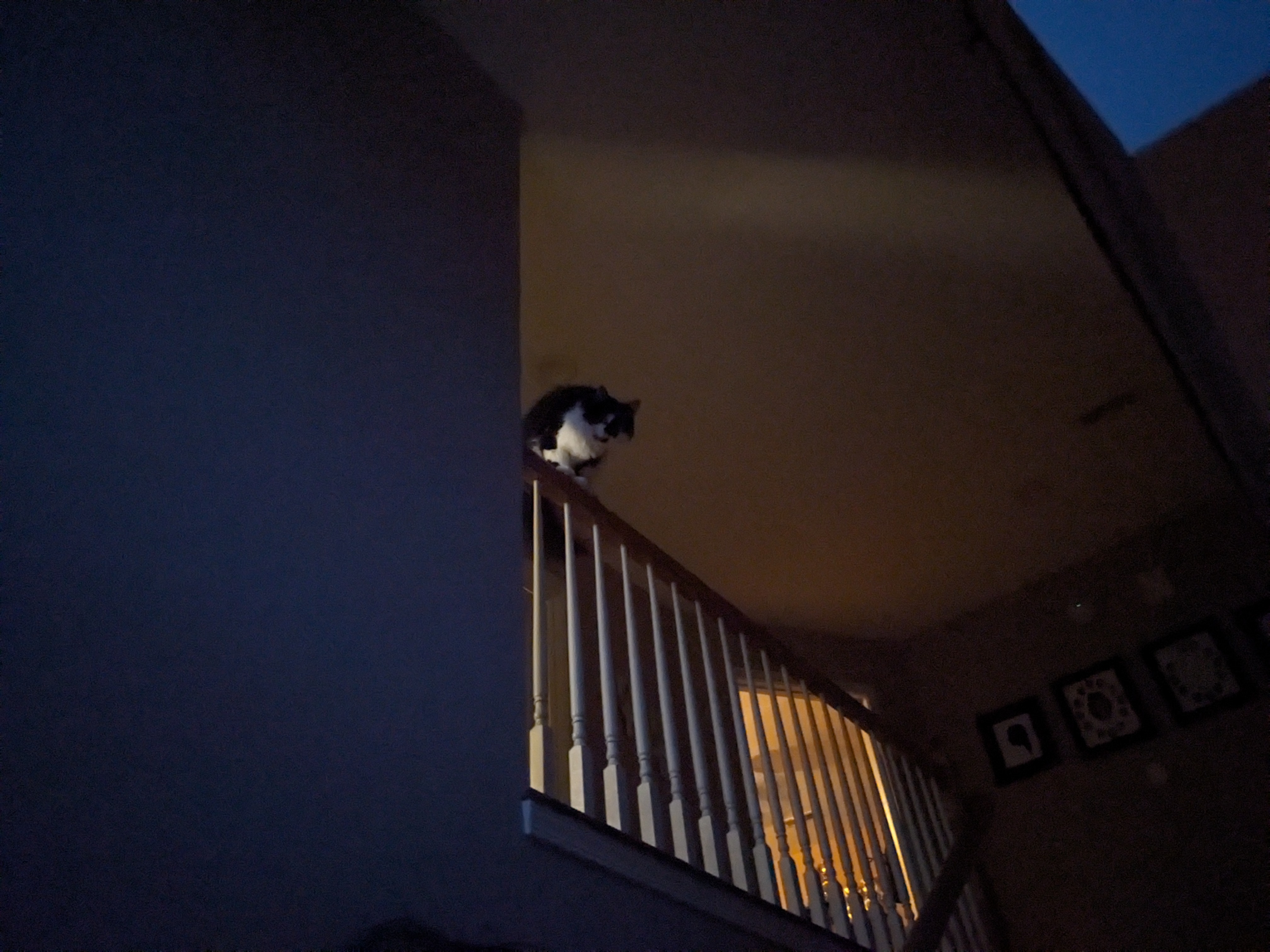 PXL 20240709 014852068