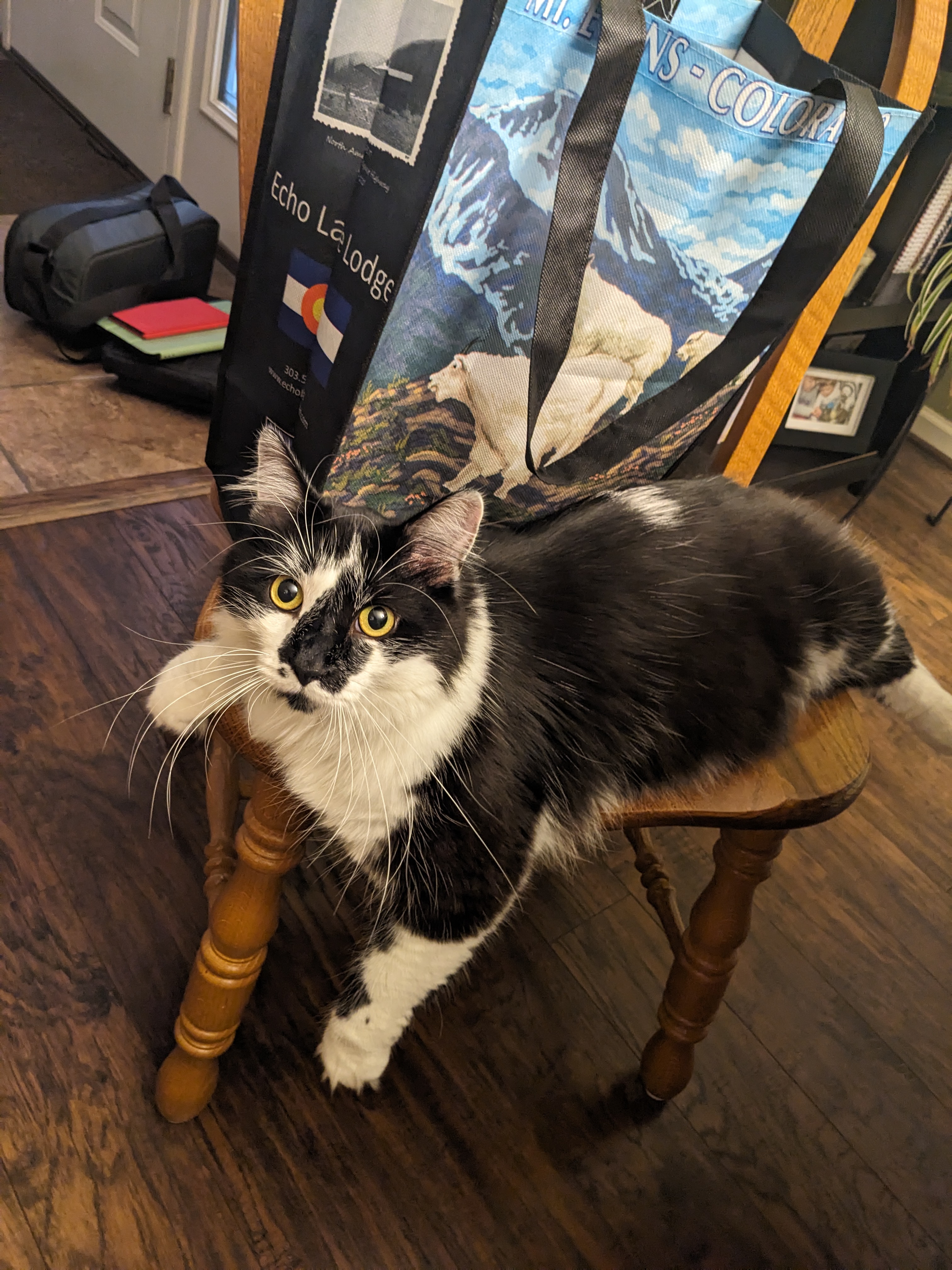 PXL 20240730 111338353