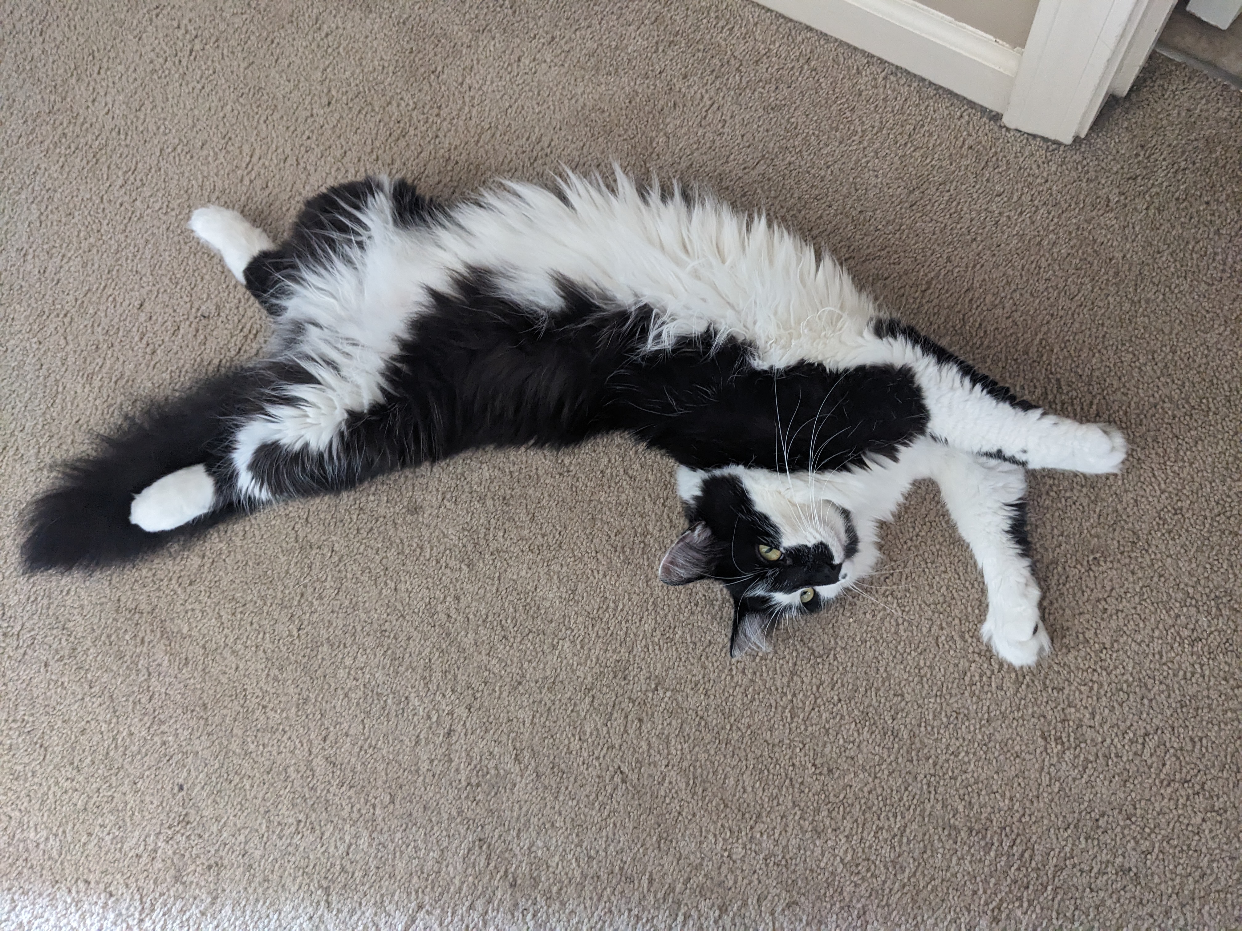 PXL 20240806 174856664