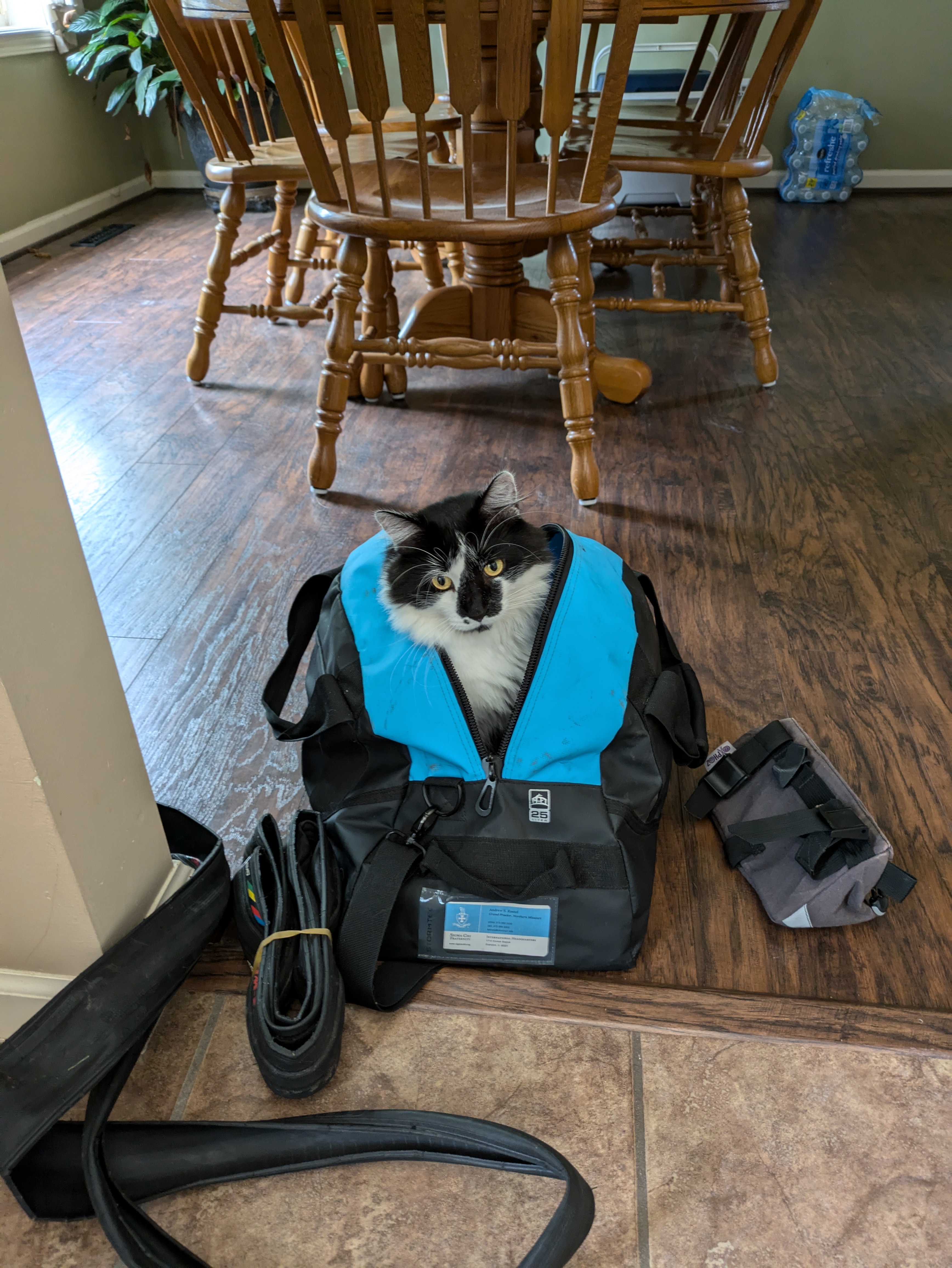 PXL 20240808 164503429