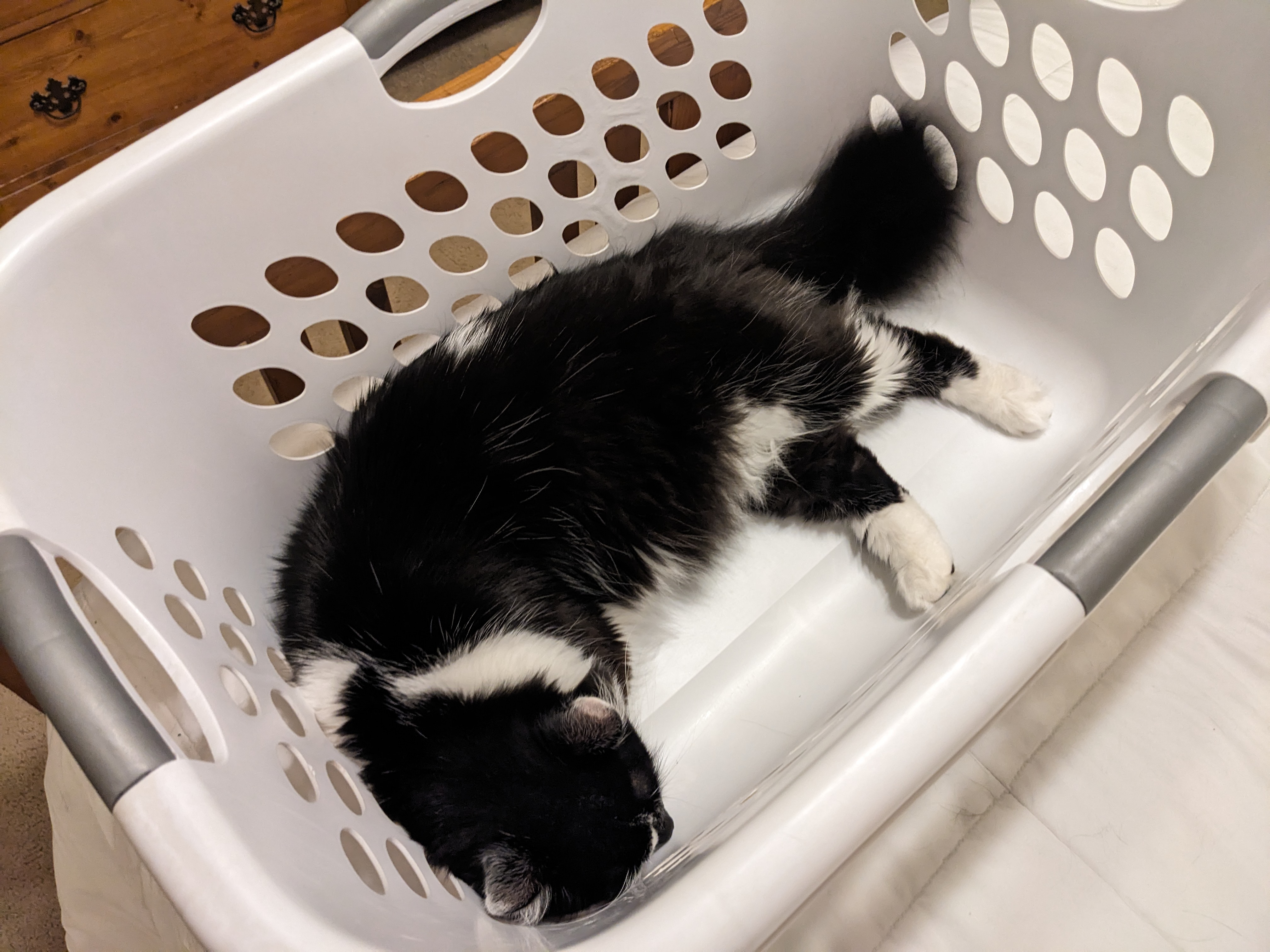 PXL 20240812 015342304